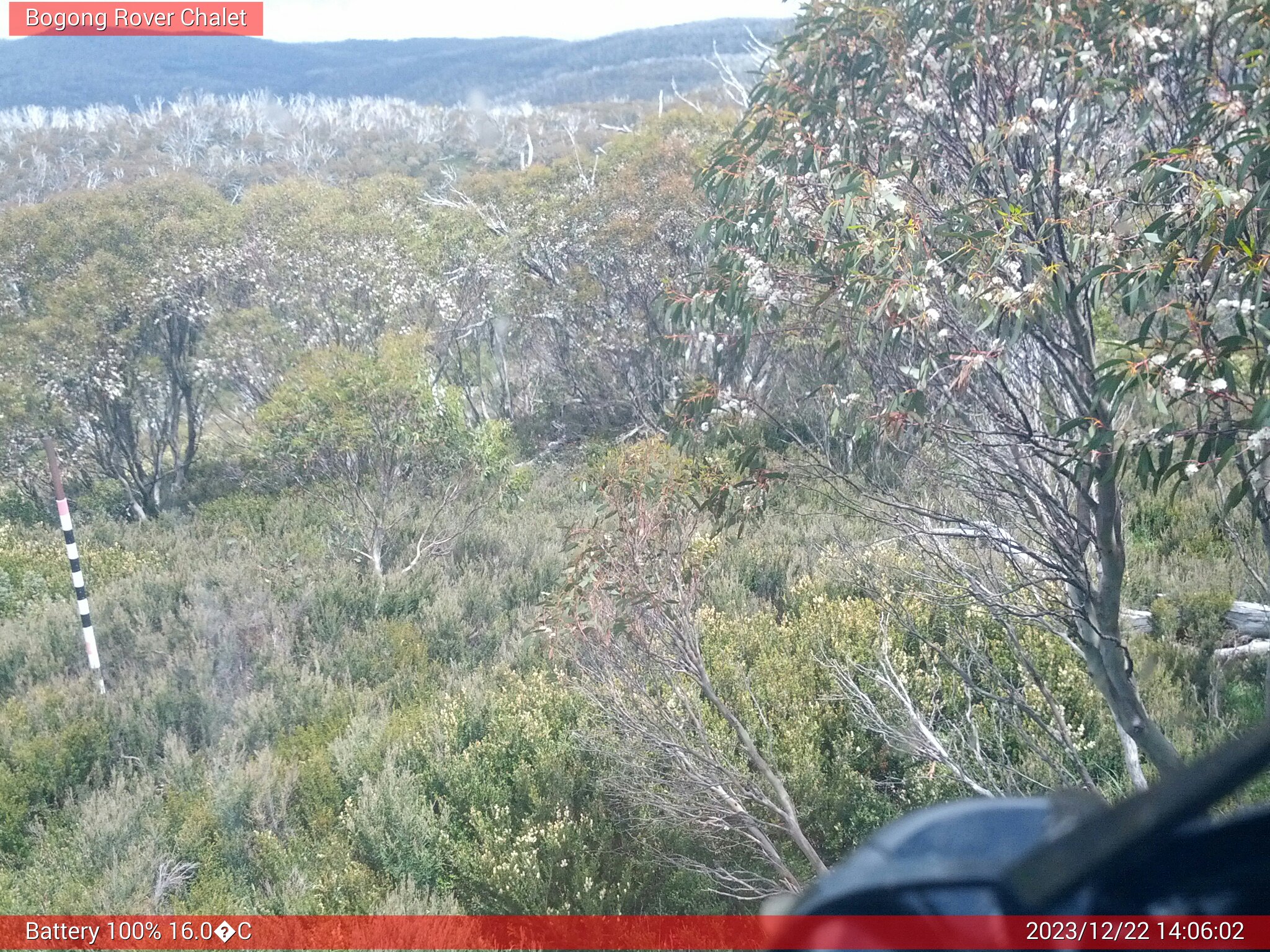 Bogong Web Cam 2:06pm Friday 22nd of December 2023