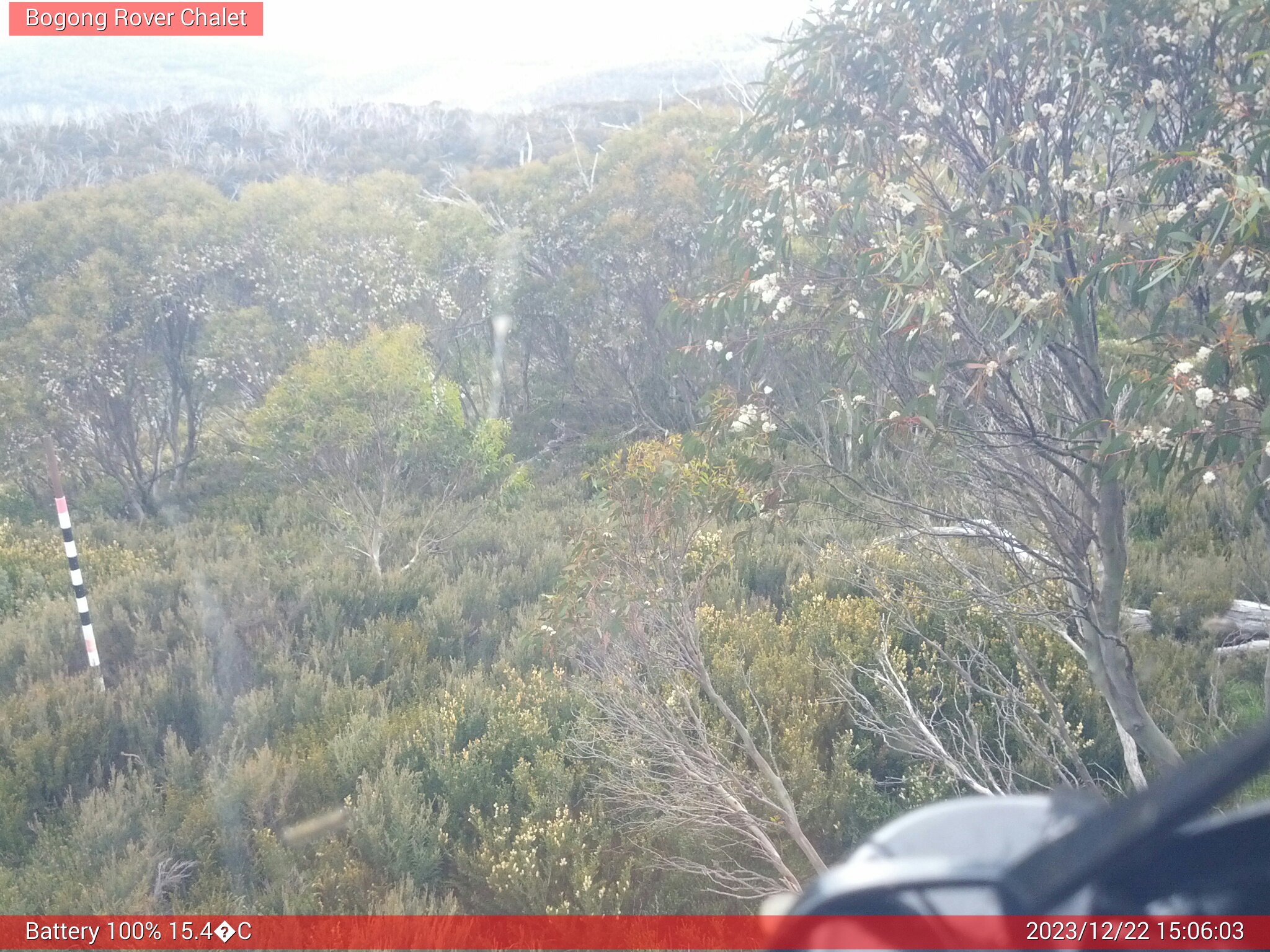 Bogong Web Cam 3:06pm Friday 22nd of December 2023