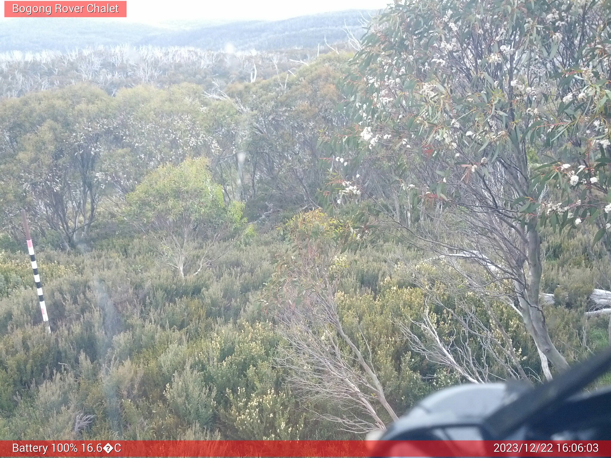 Bogong Web Cam 4:06pm Friday 22nd of December 2023