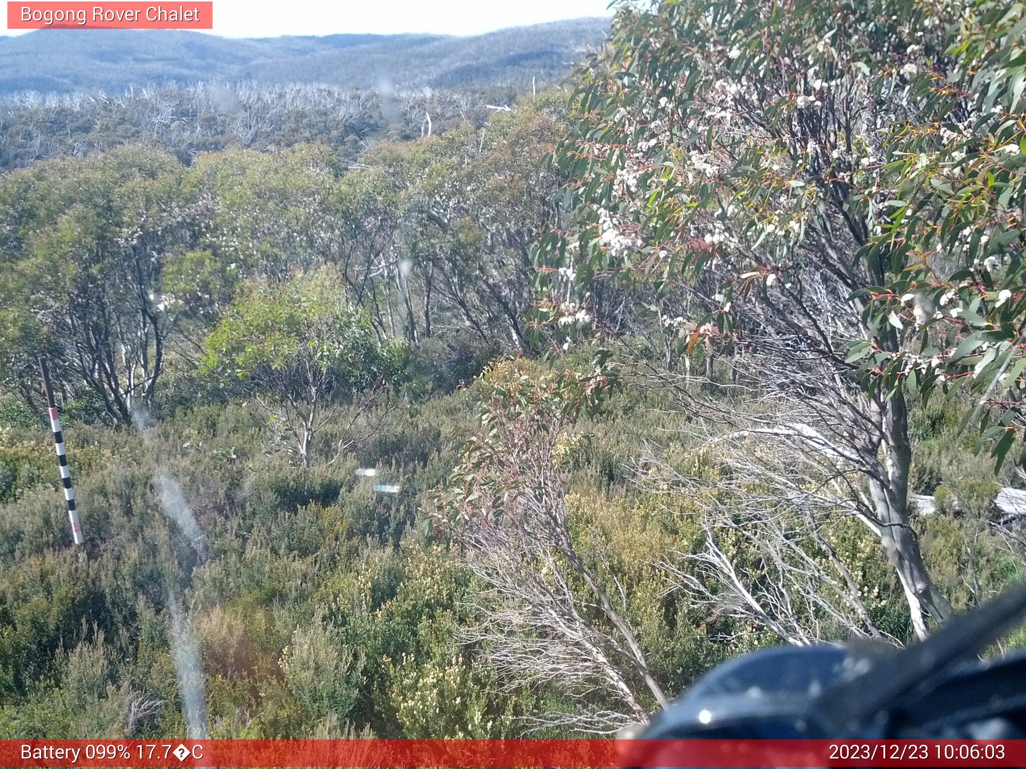 Bogong Web Cam 10:06am Saturday 23rd of December 2023