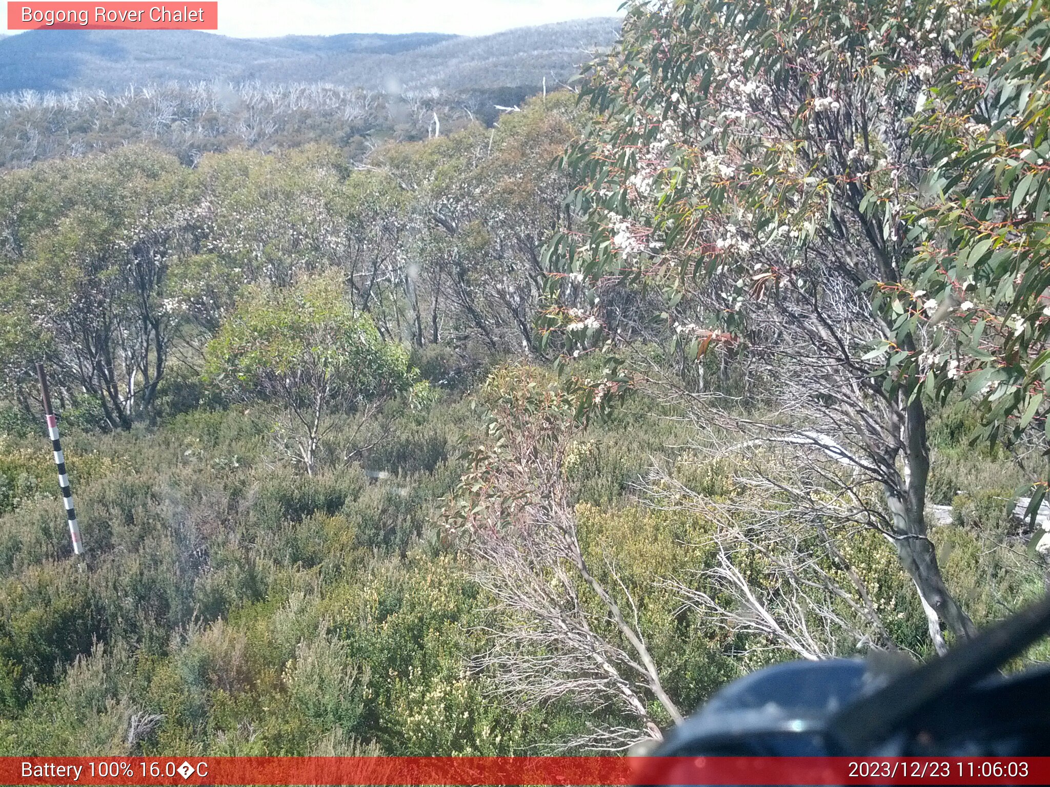 Bogong Web Cam 11:06am Saturday 23rd of December 2023