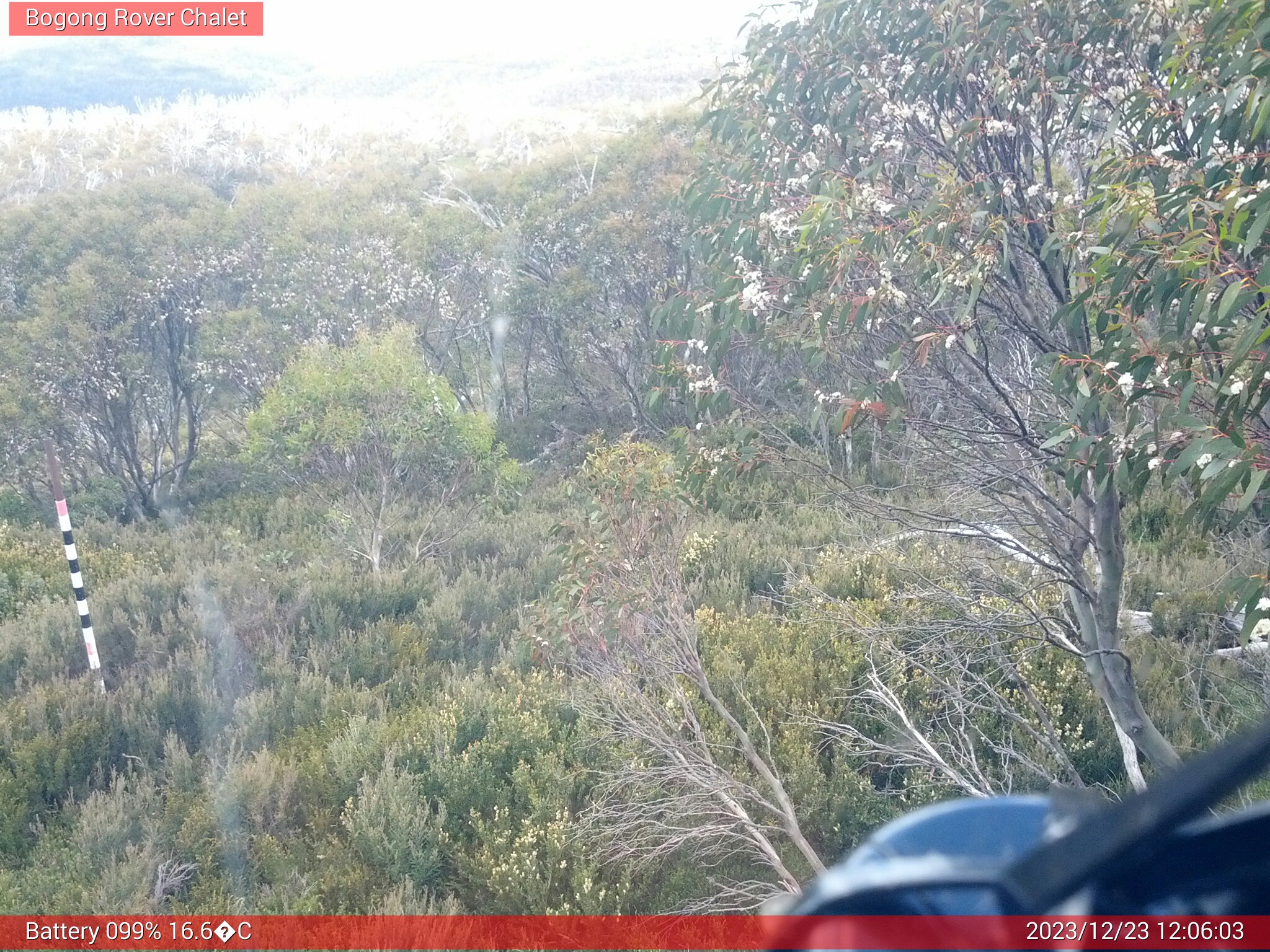 Bogong Web Cam 12:06pm Saturday 23rd of December 2023