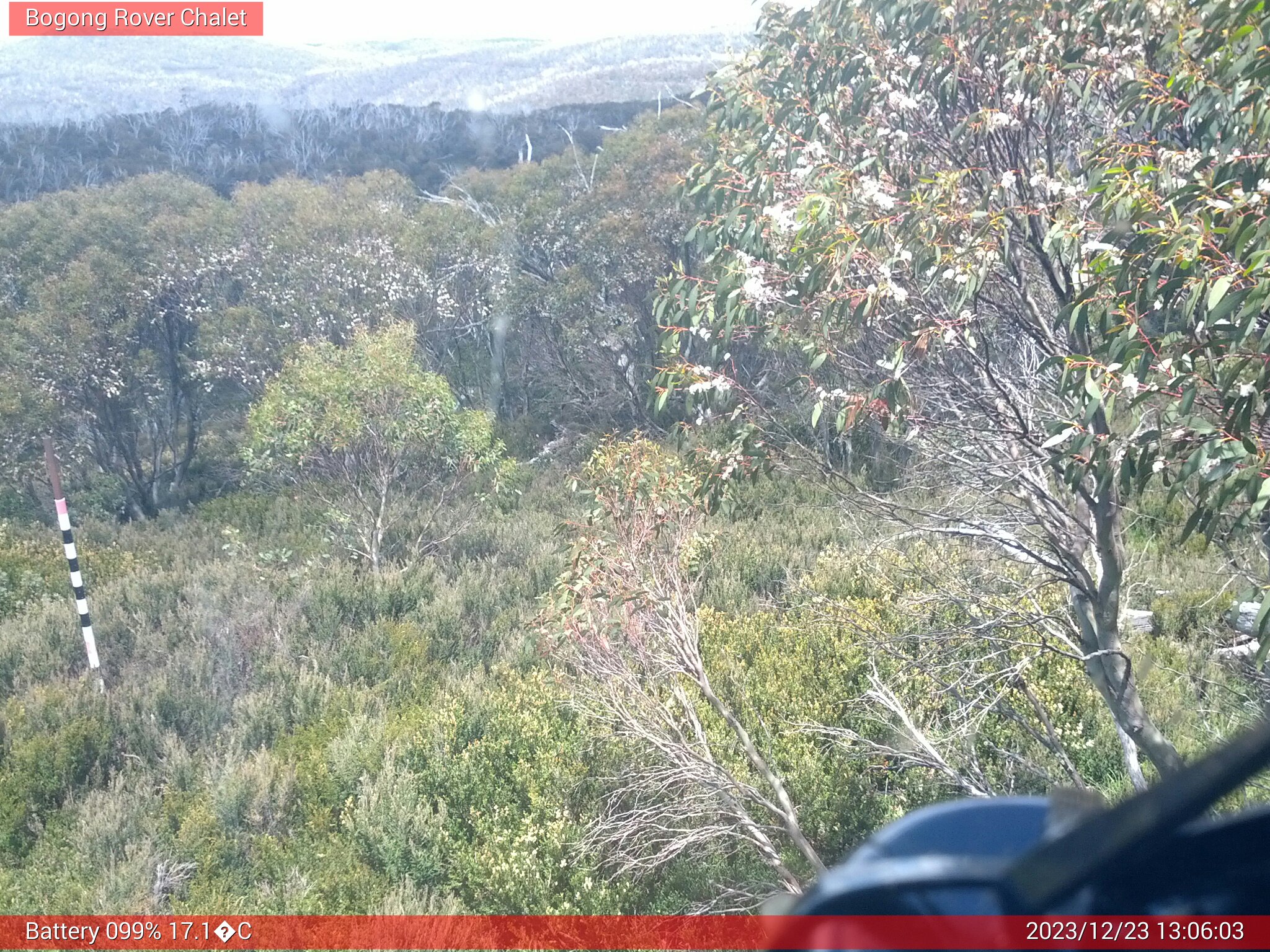 Bogong Web Cam 1:06pm Saturday 23rd of December 2023