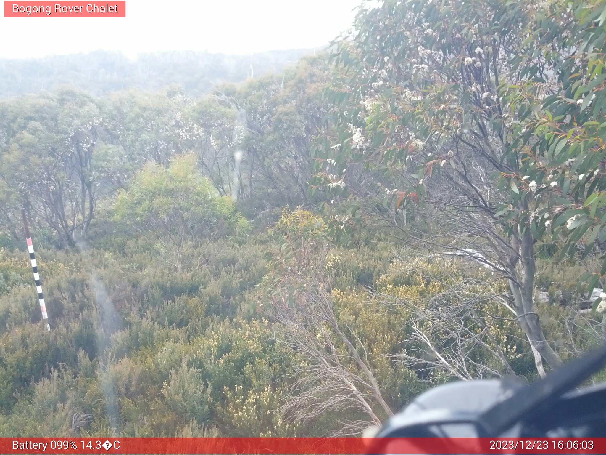 Bogong Web Cam 4:06pm Saturday 23rd of December 2023