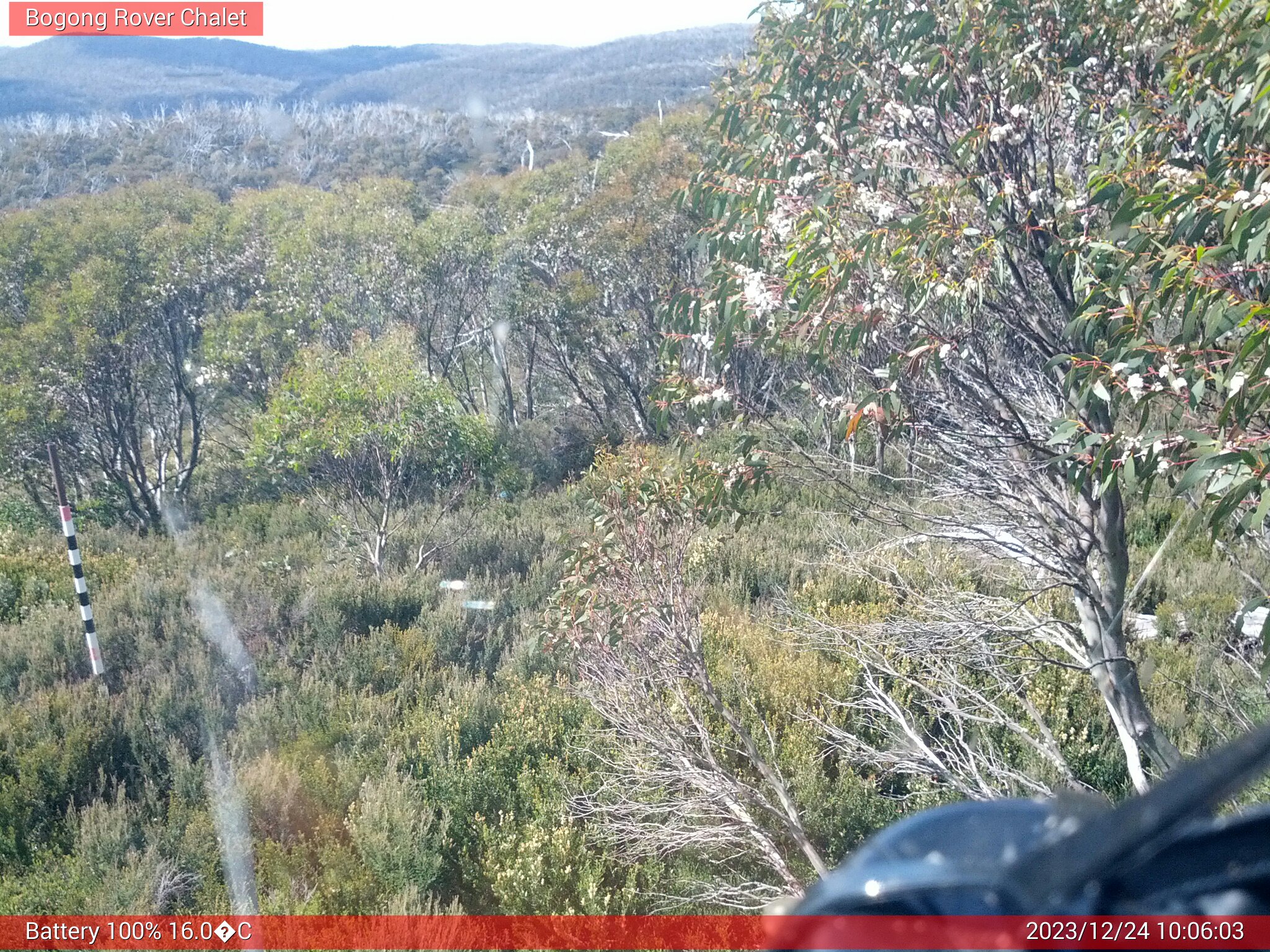 Bogong Web Cam 10:06am Sunday 24th of December 2023