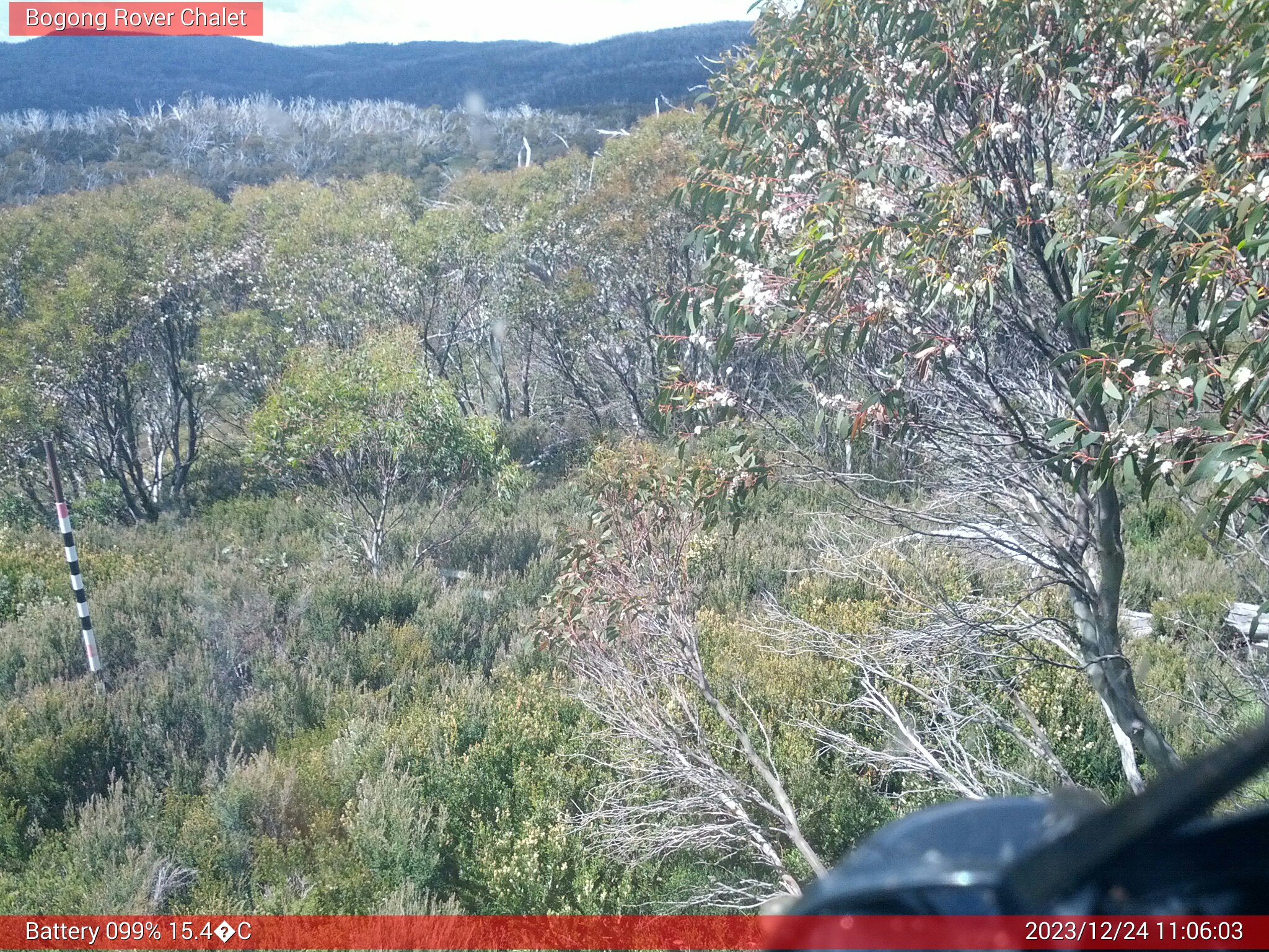 Bogong Web Cam 11:06am Sunday 24th of December 2023