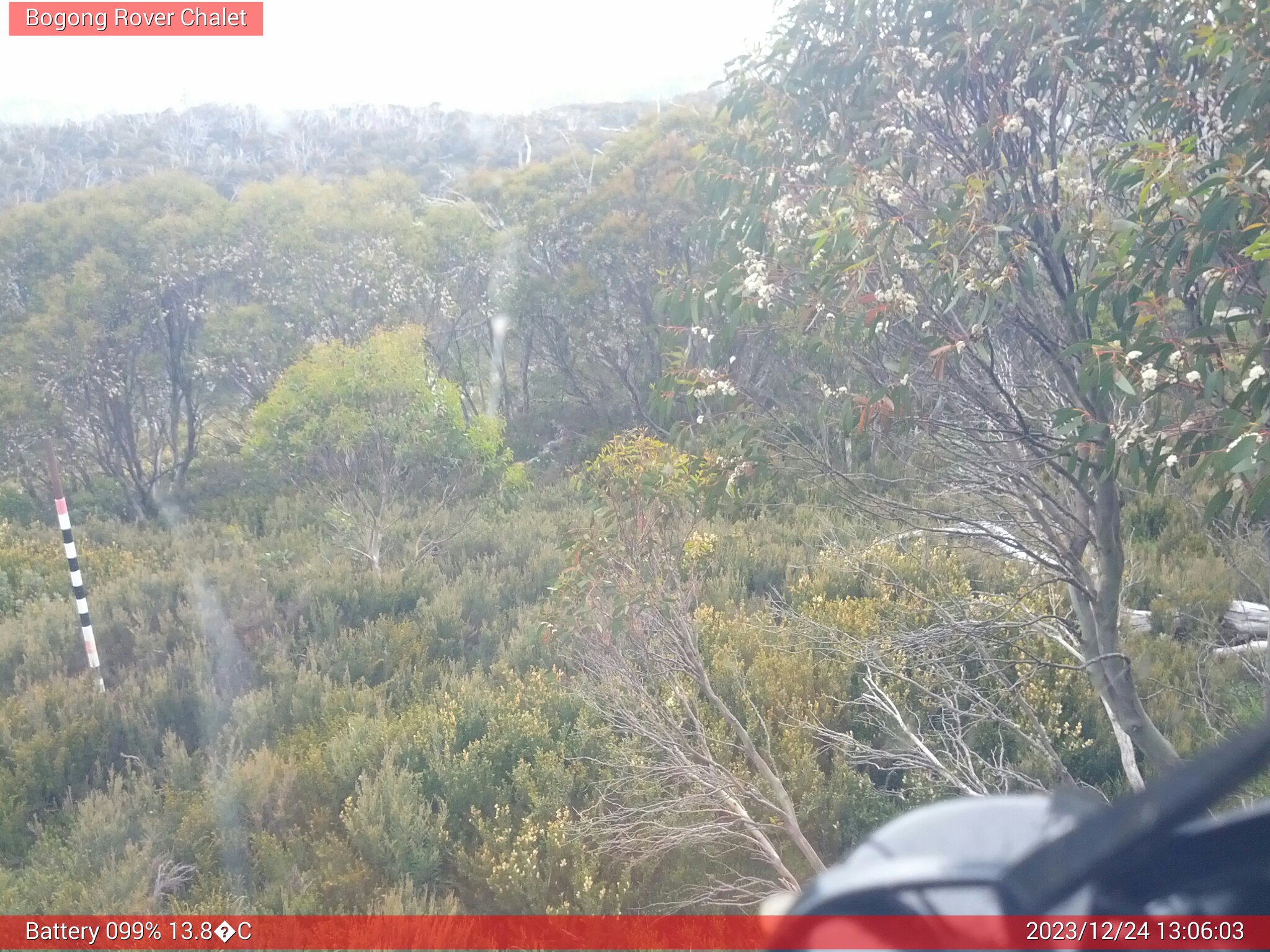 Bogong Web Cam 1:06pm Sunday 24th of December 2023