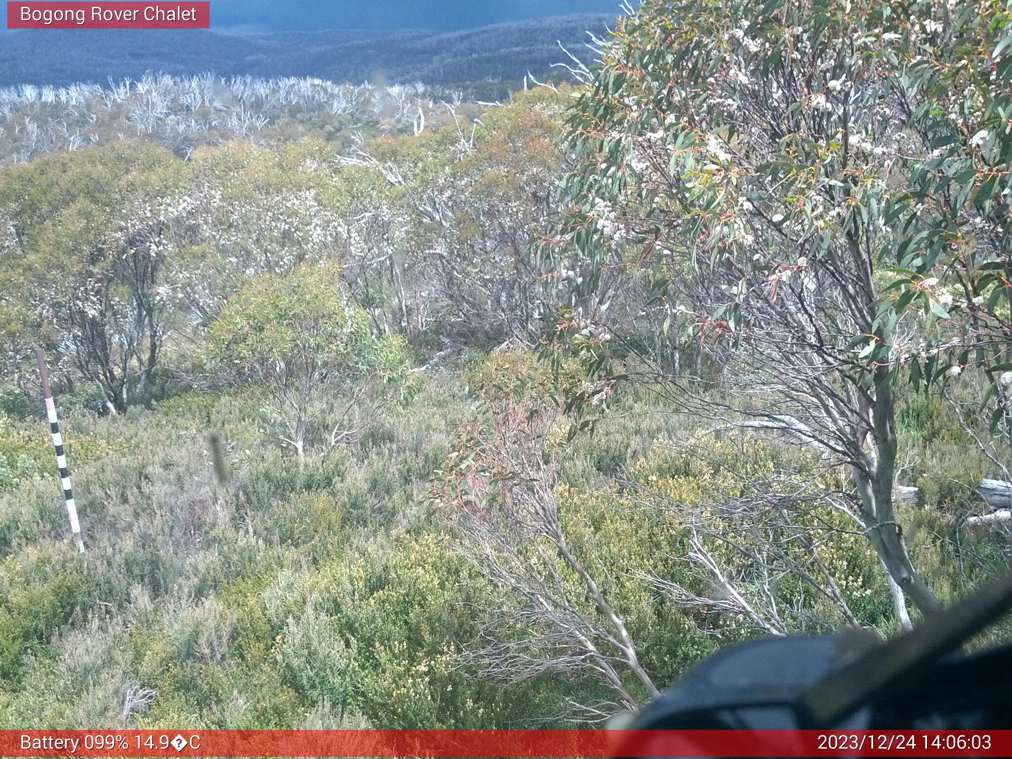 Bogong Web Cam 2:06pm Sunday 24th of December 2023