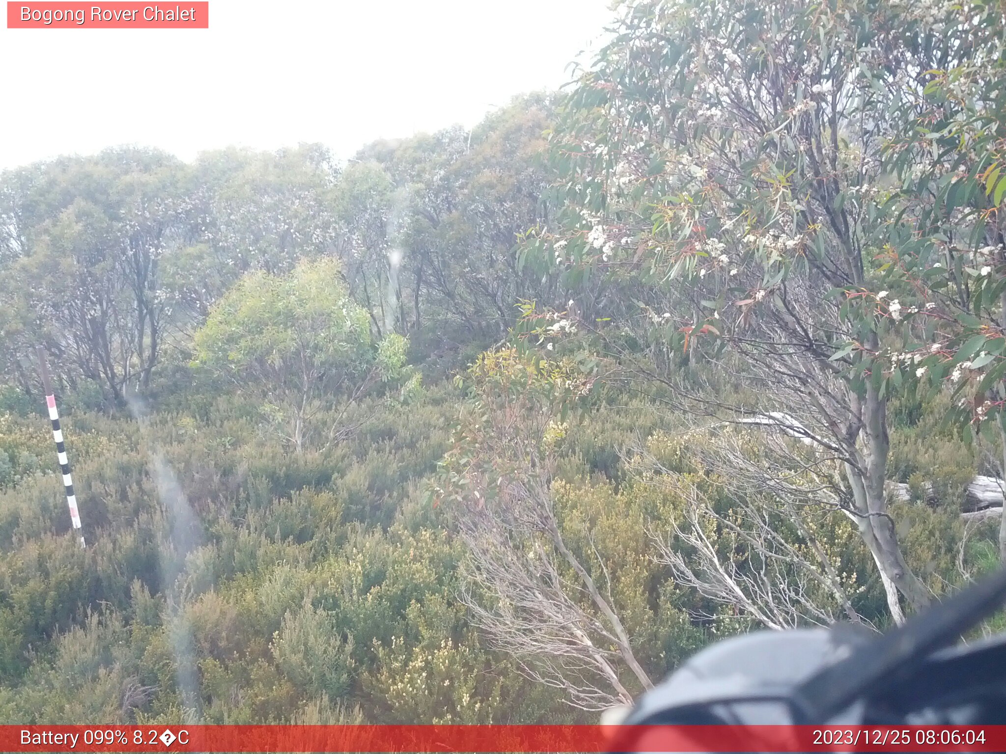 Bogong Web Cam 8:06am Monday 25th of December 2023