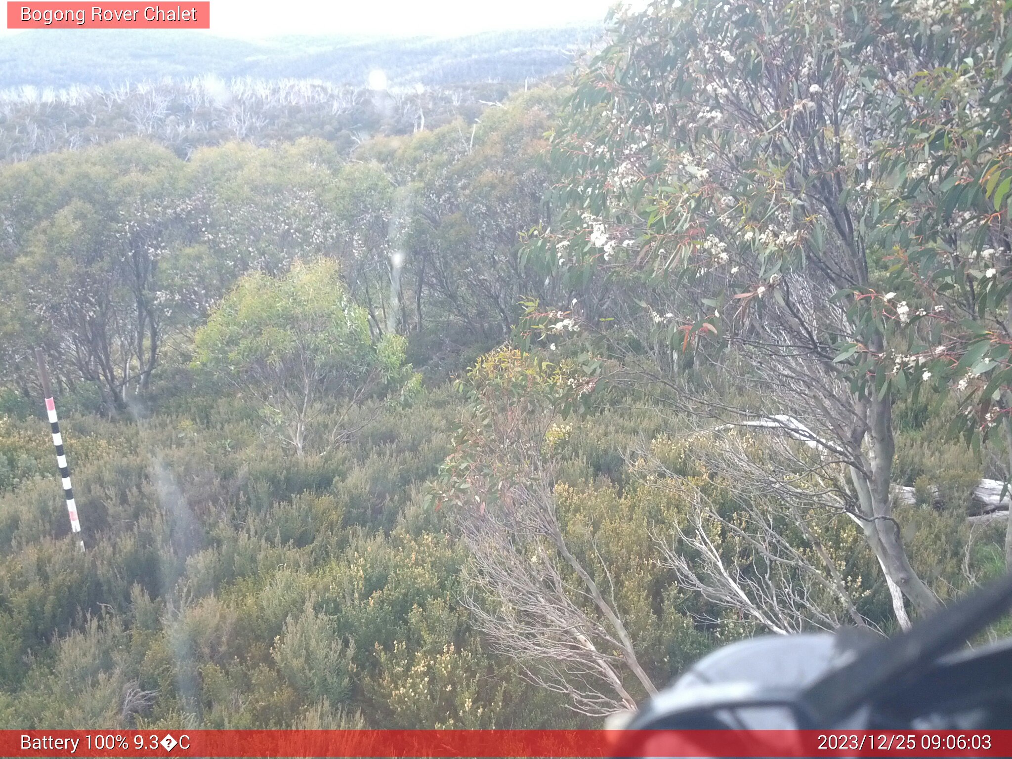 Bogong Web Cam 9:06am Monday 25th of December 2023