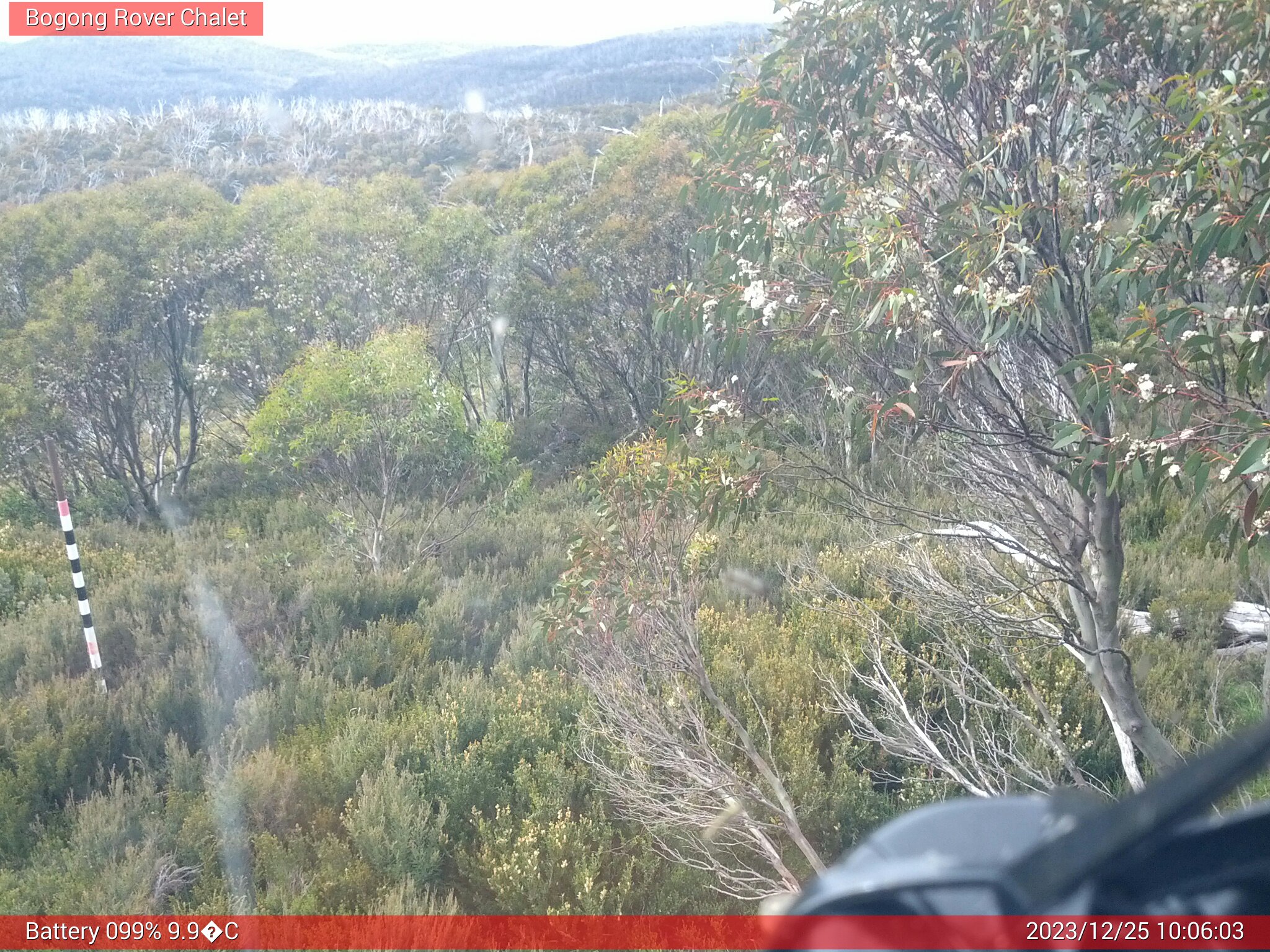 Bogong Web Cam 10:06am Monday 25th of December 2023