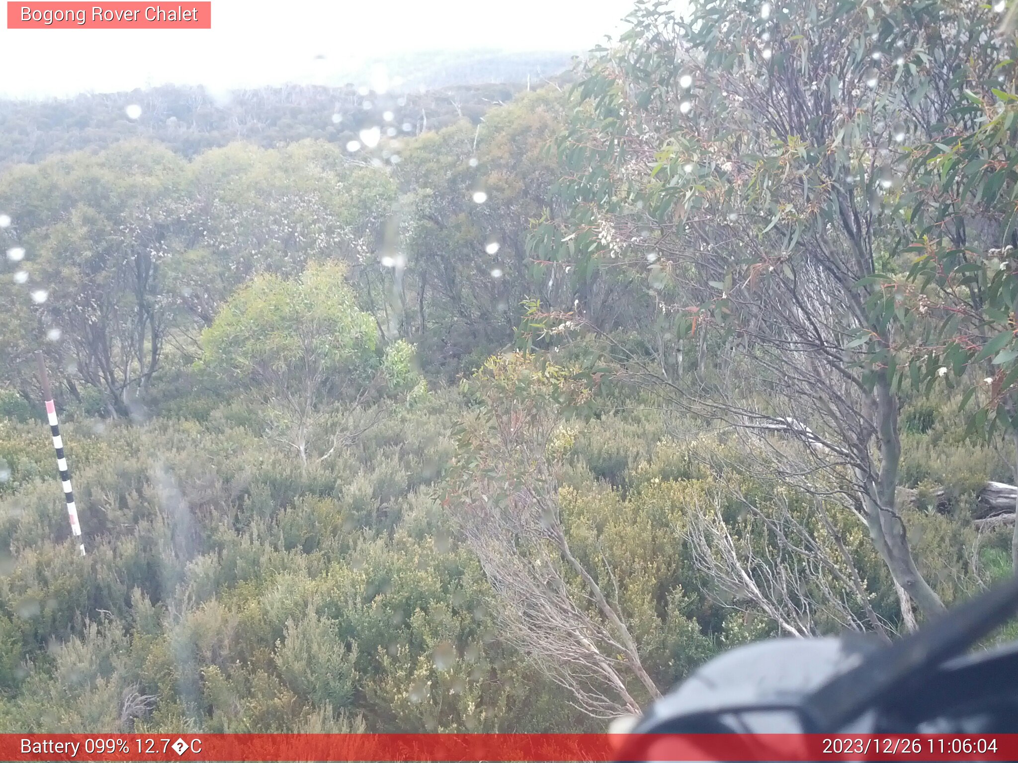 Bogong Web Cam 11:06am Tuesday 26th of December 2023