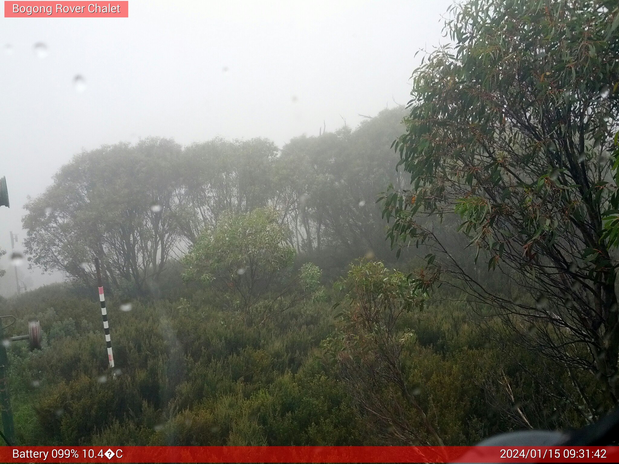 Bogong Web Cam 9:31am Monday 15th of January 2024