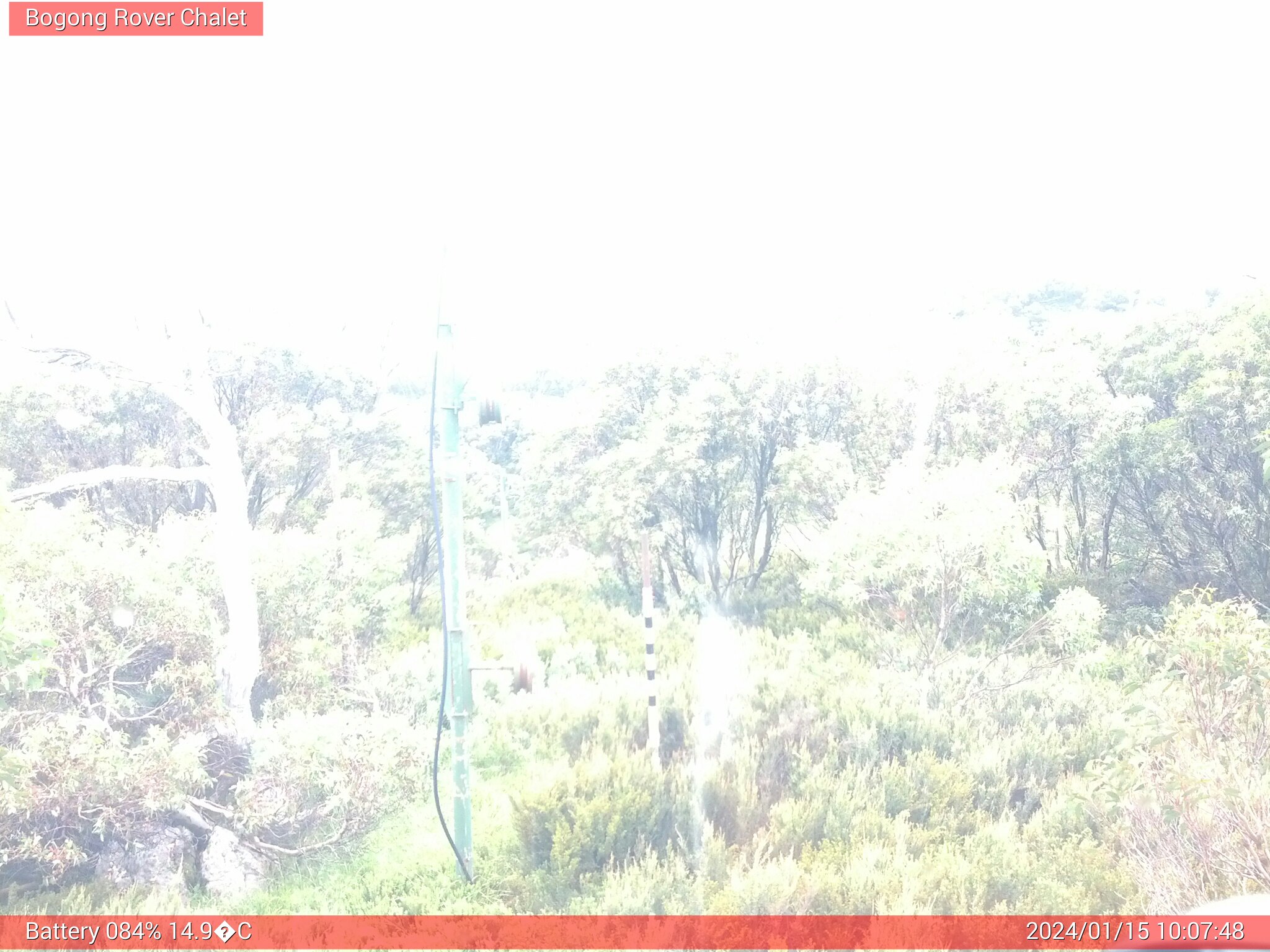 Bogong Web Cam 10:07am Monday 15th of January 2024