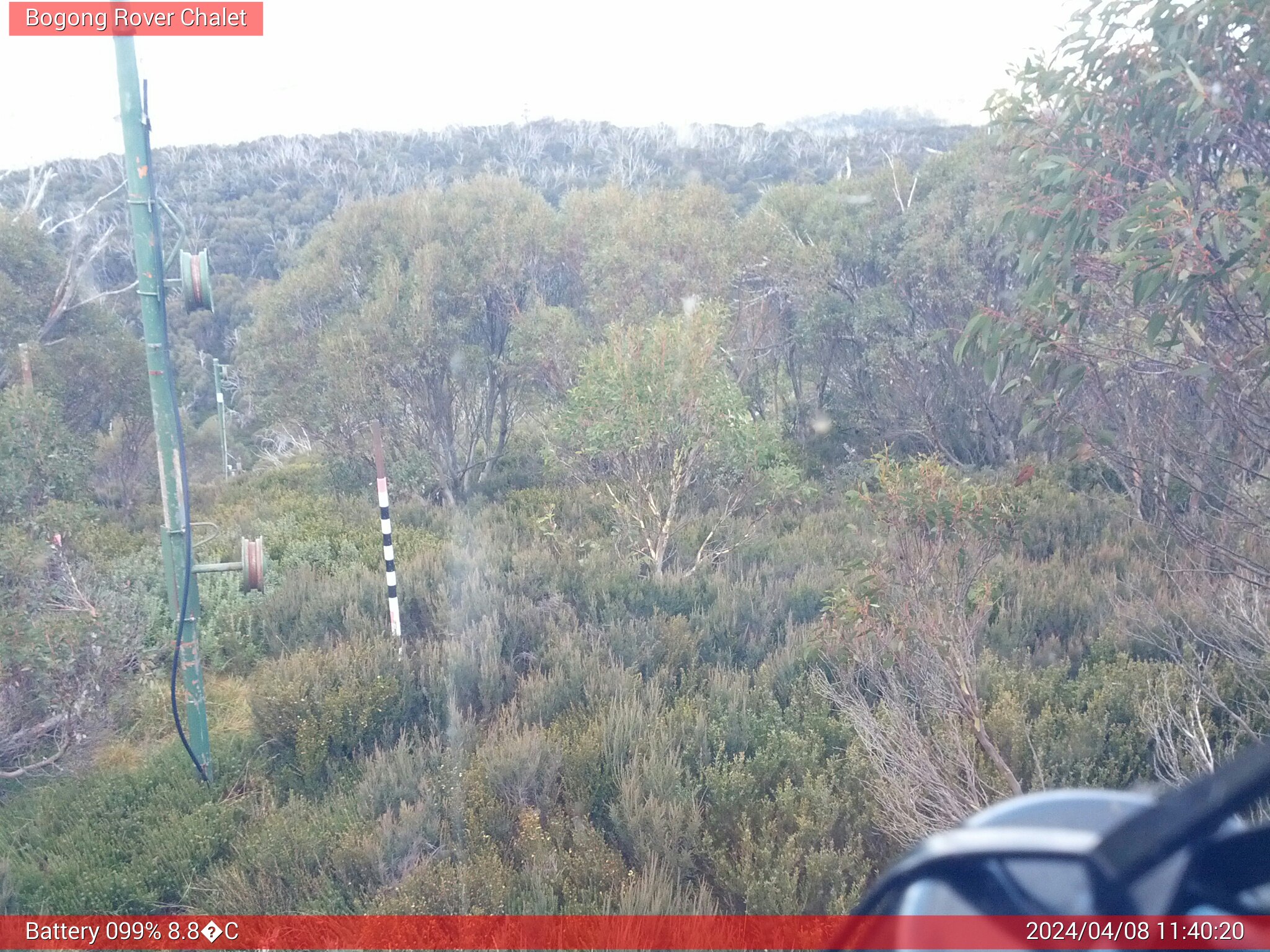 Bogong Web Cam 11:40am Monday 8th of April 2024