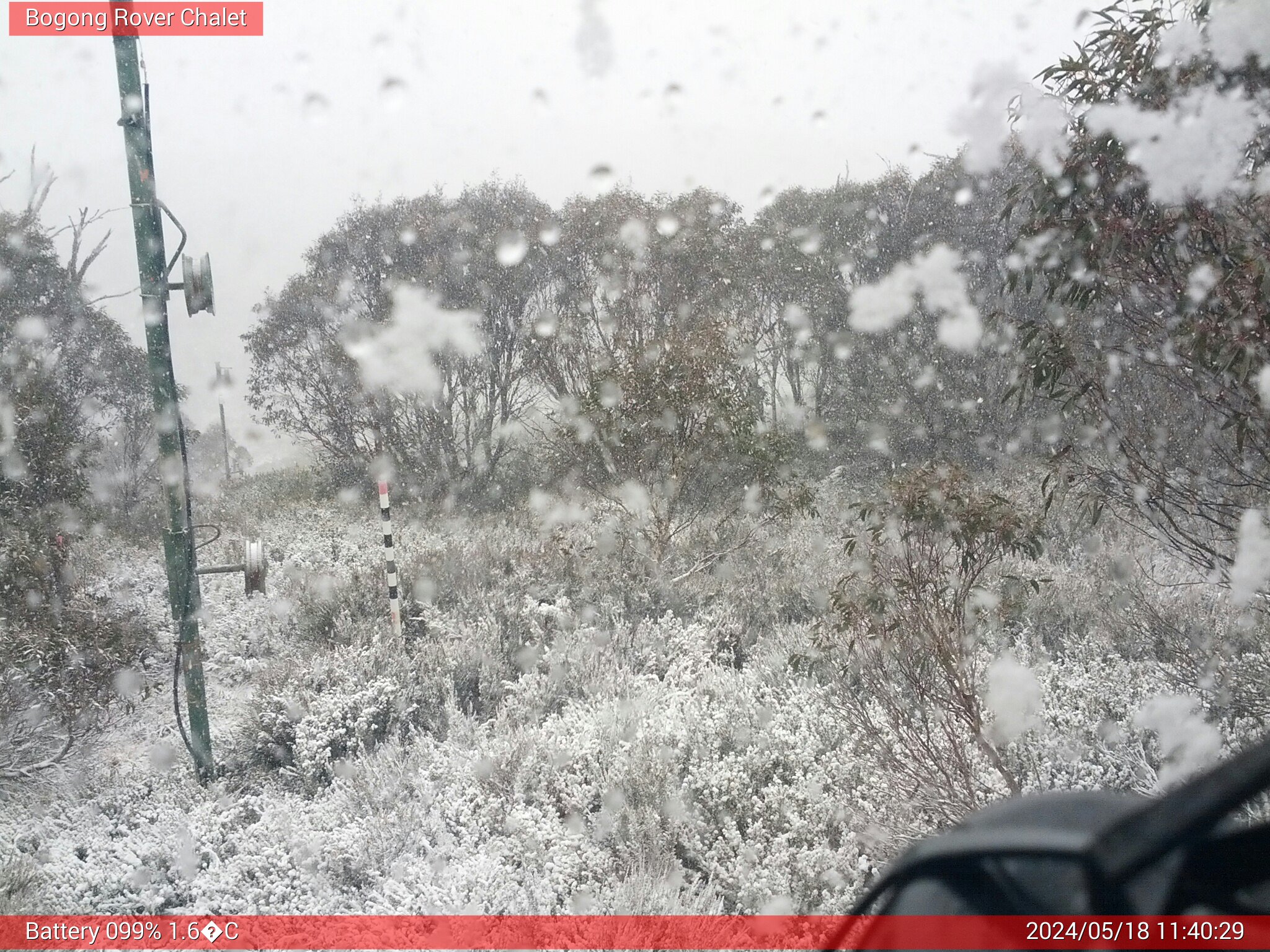 Bogong Web Cam 11:40am Saturday 18th of May 2024