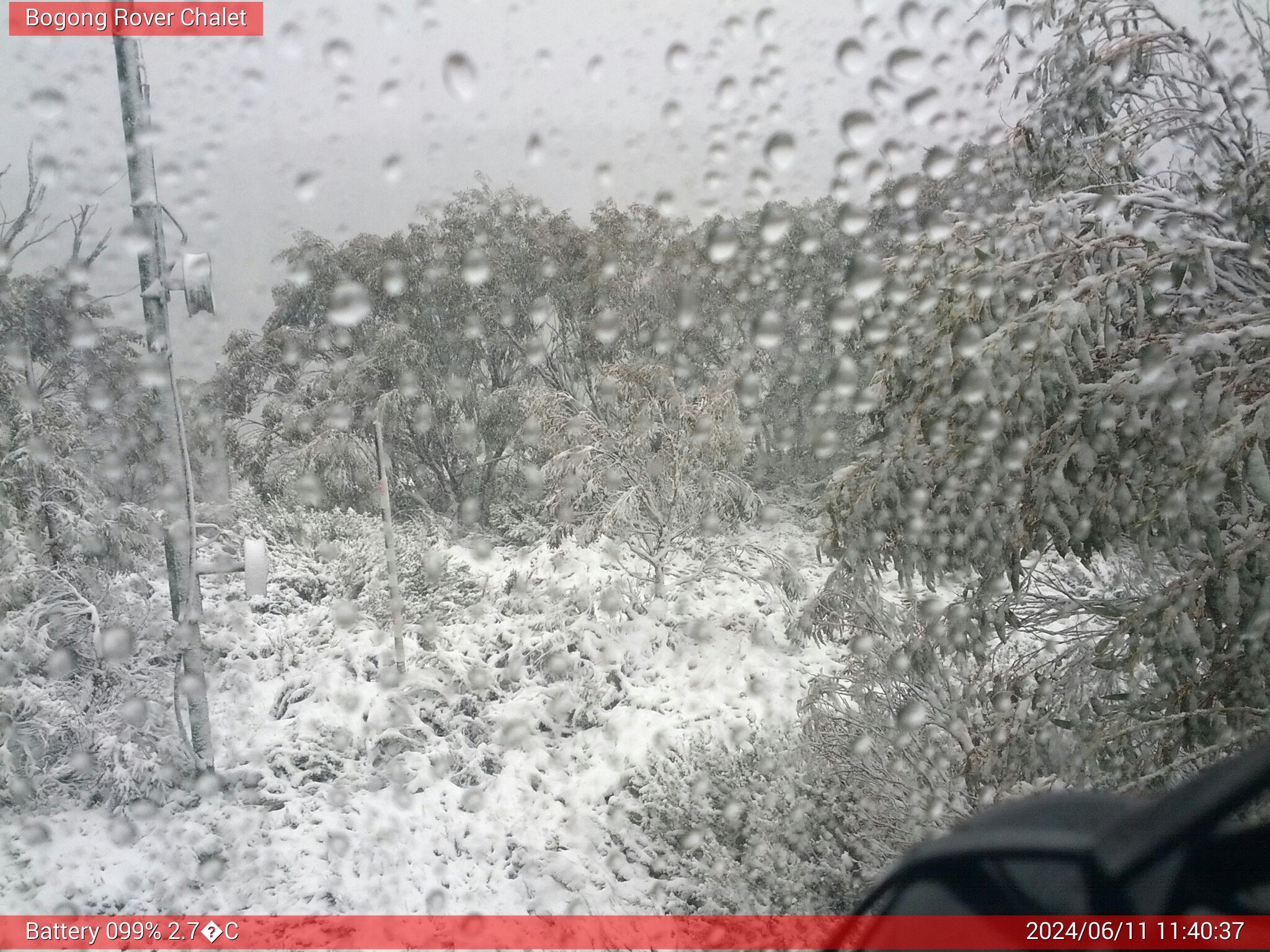 Bogong Web Cam 11:40am Tuesday 11th of June 2024