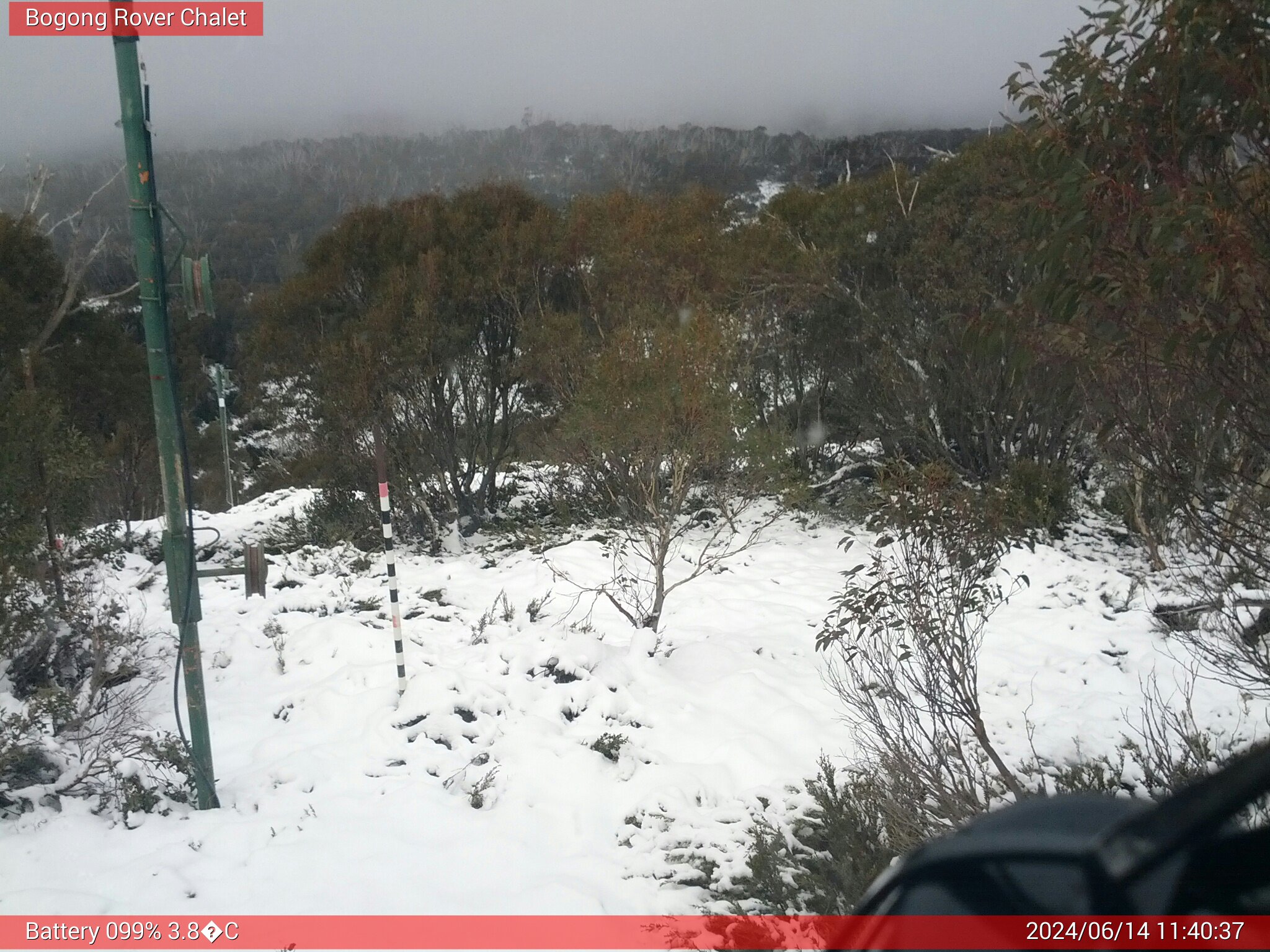 Bogong Web Cam 11:40am Friday 14th of June 2024