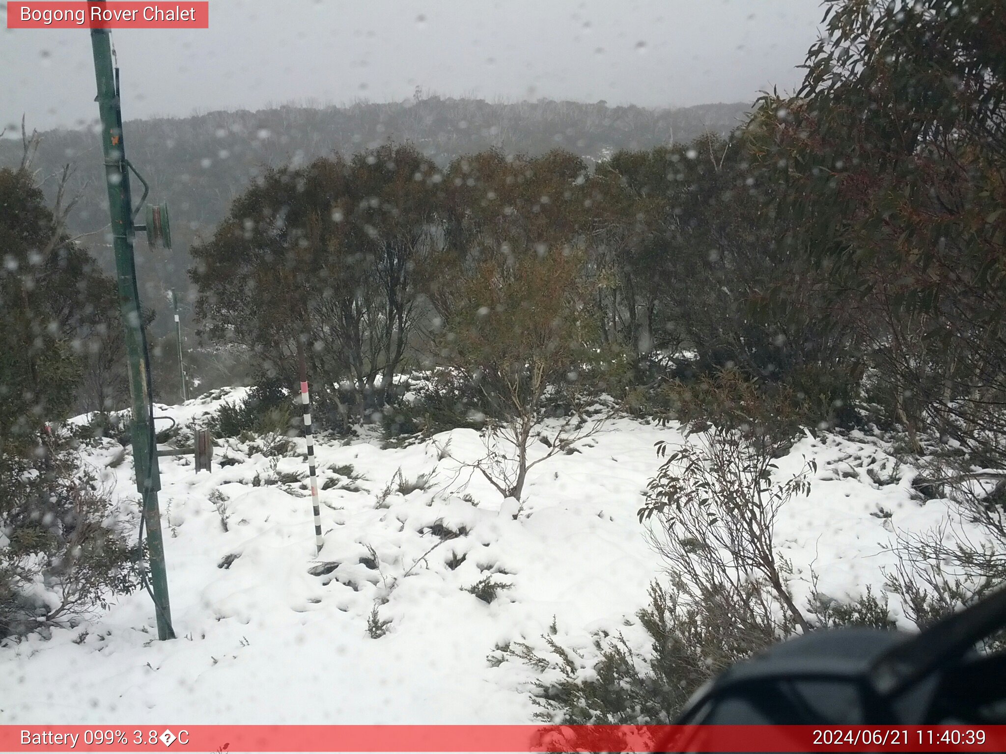 Bogong Web Cam 11:40am Friday 21st of June 2024