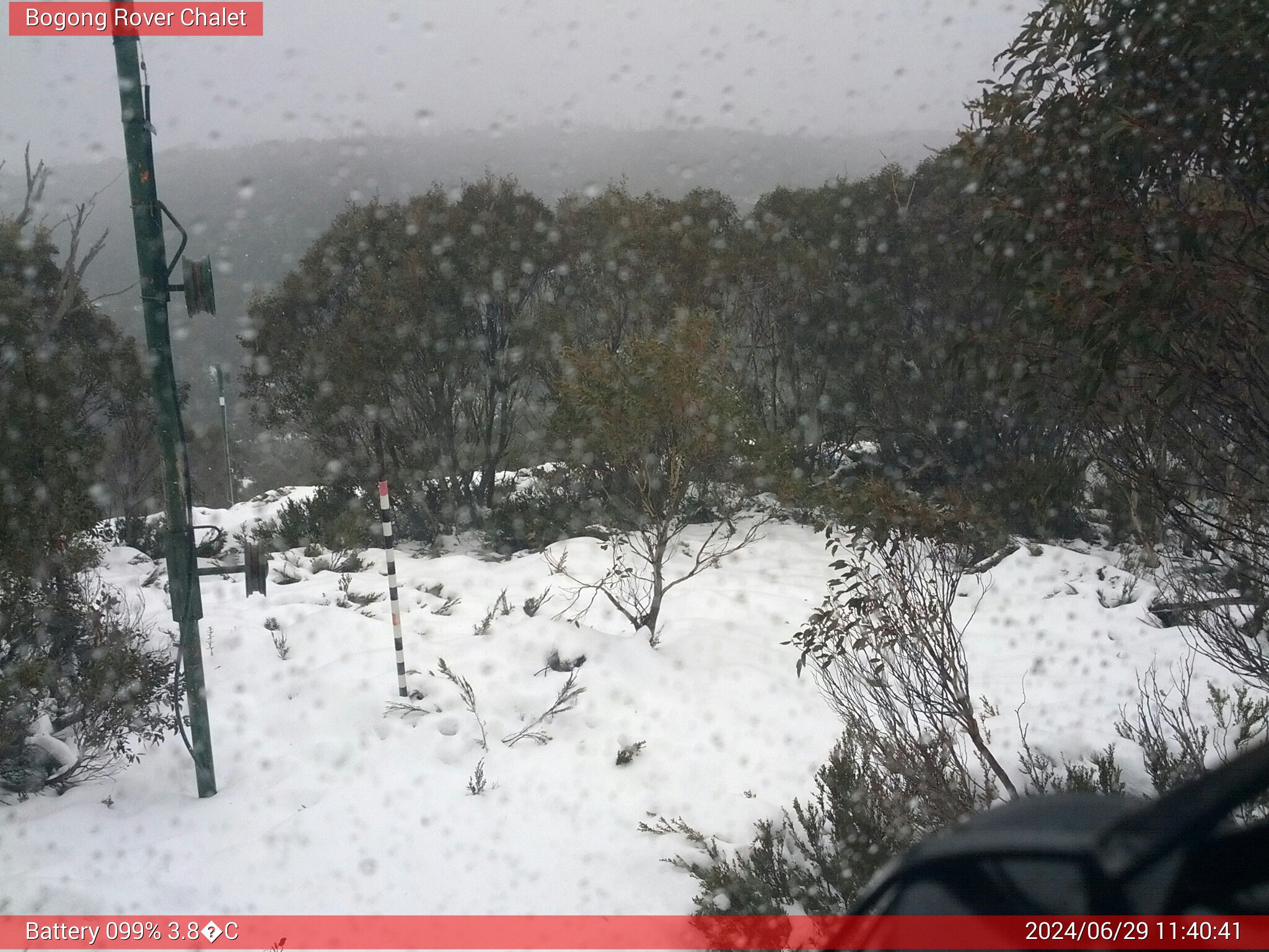 Bogong Web Cam 11:40am Saturday 29th of June 2024