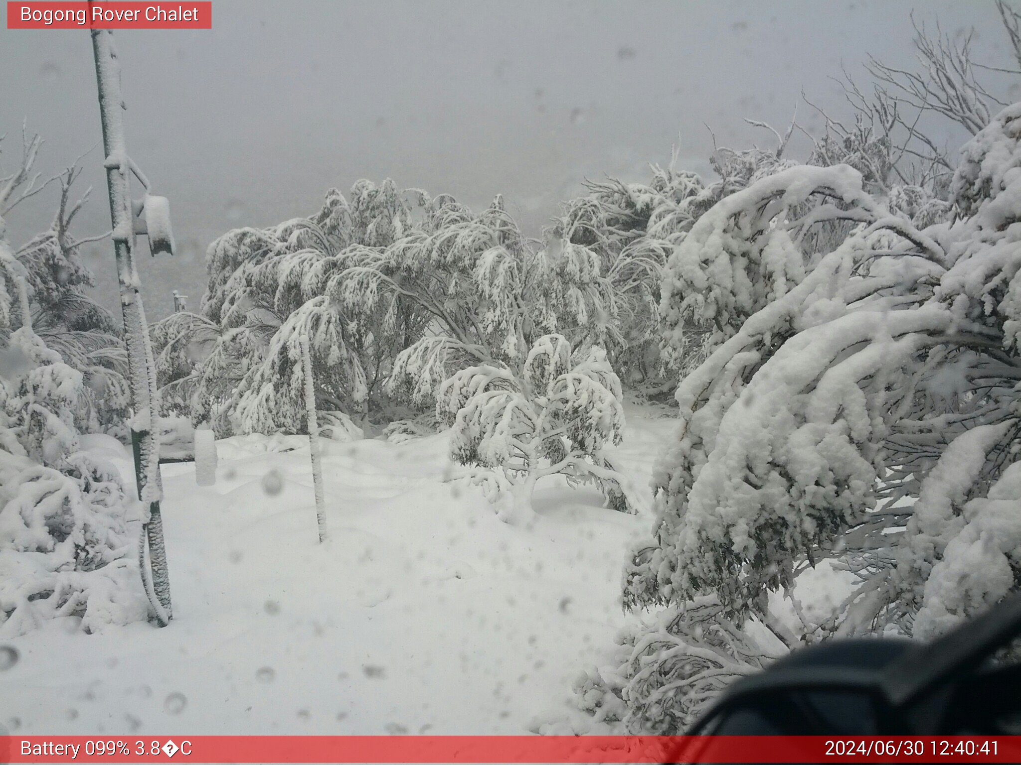 Bogong Web Cam 12:40pm Sunday 30th of June 2024