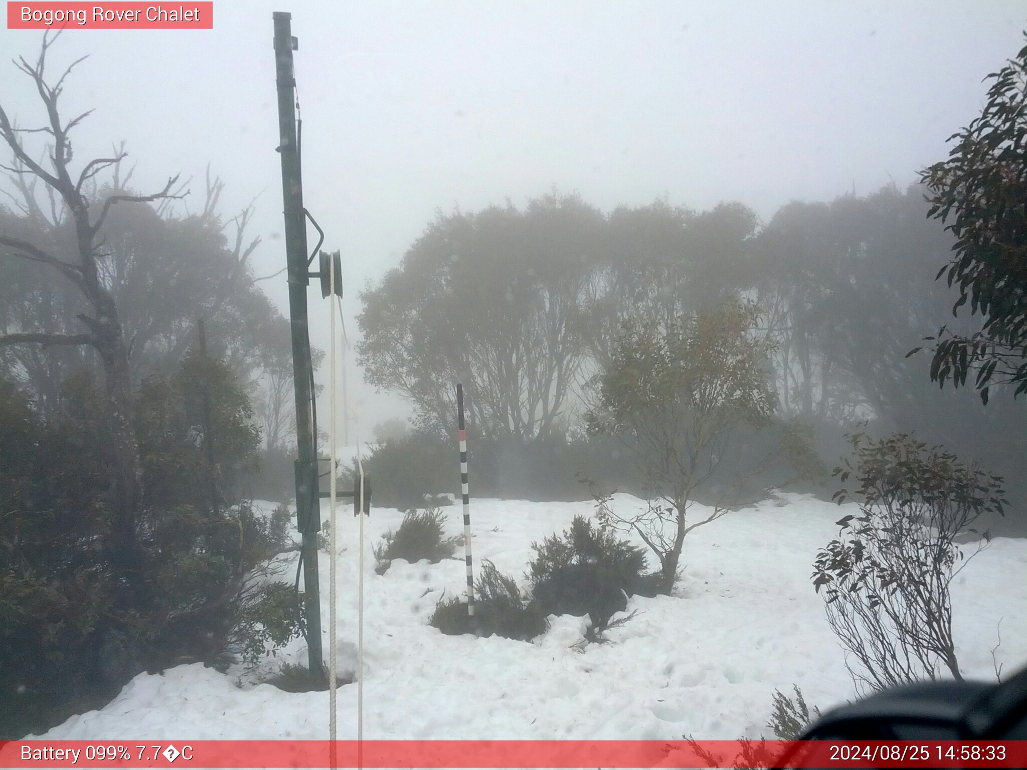 Bogong Web Cam 2:58pm Sunday 25th of August 2024