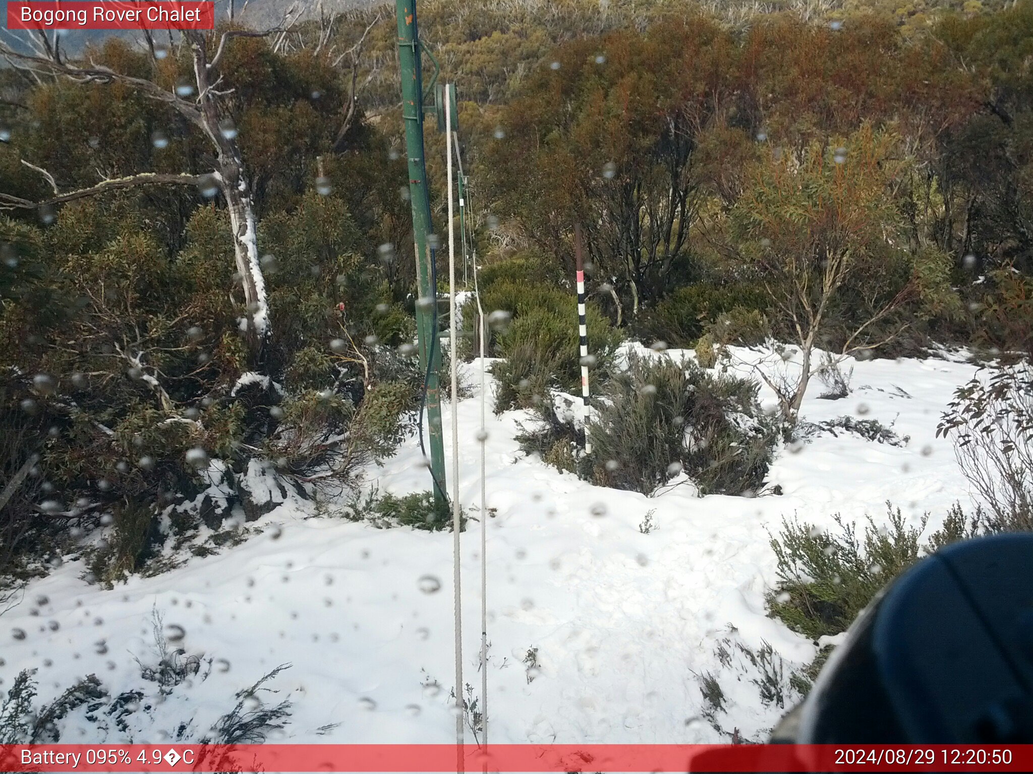 Bogong Web Cam 12:20pm Thursday 29th of August 2024