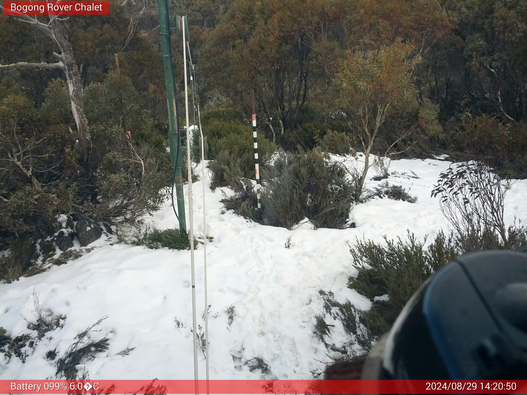 Bogong Web Cam 2:20pm Thursday 29th of August 2024