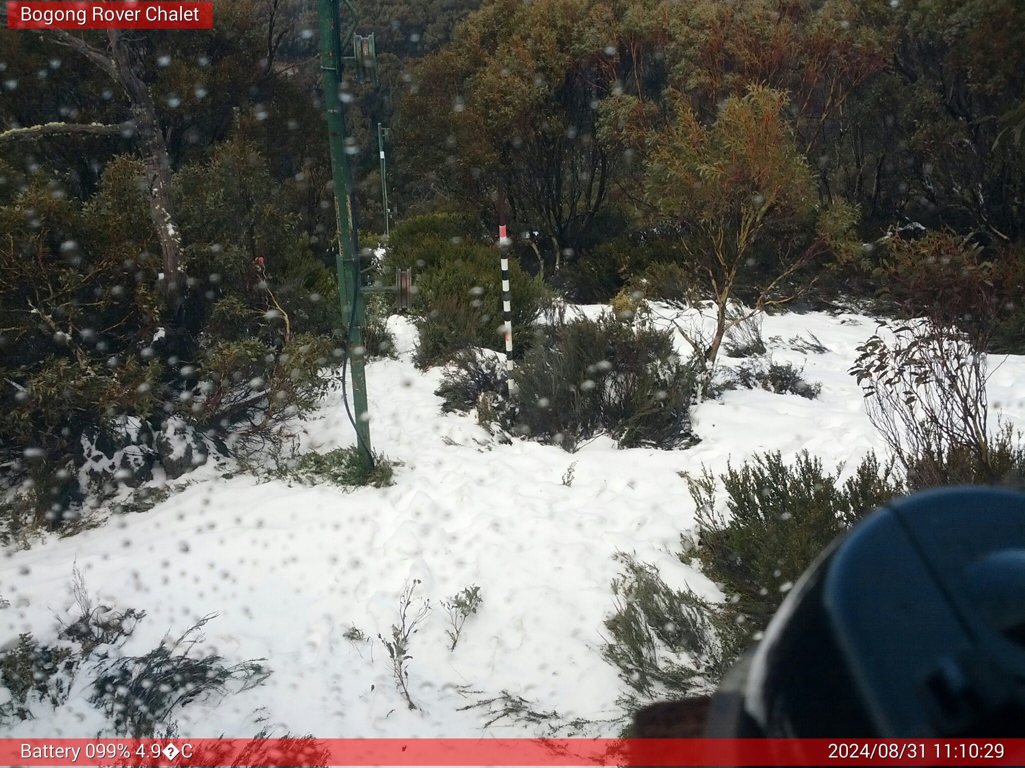 Bogong Web Cam 11:10am Saturday 31st of August 2024