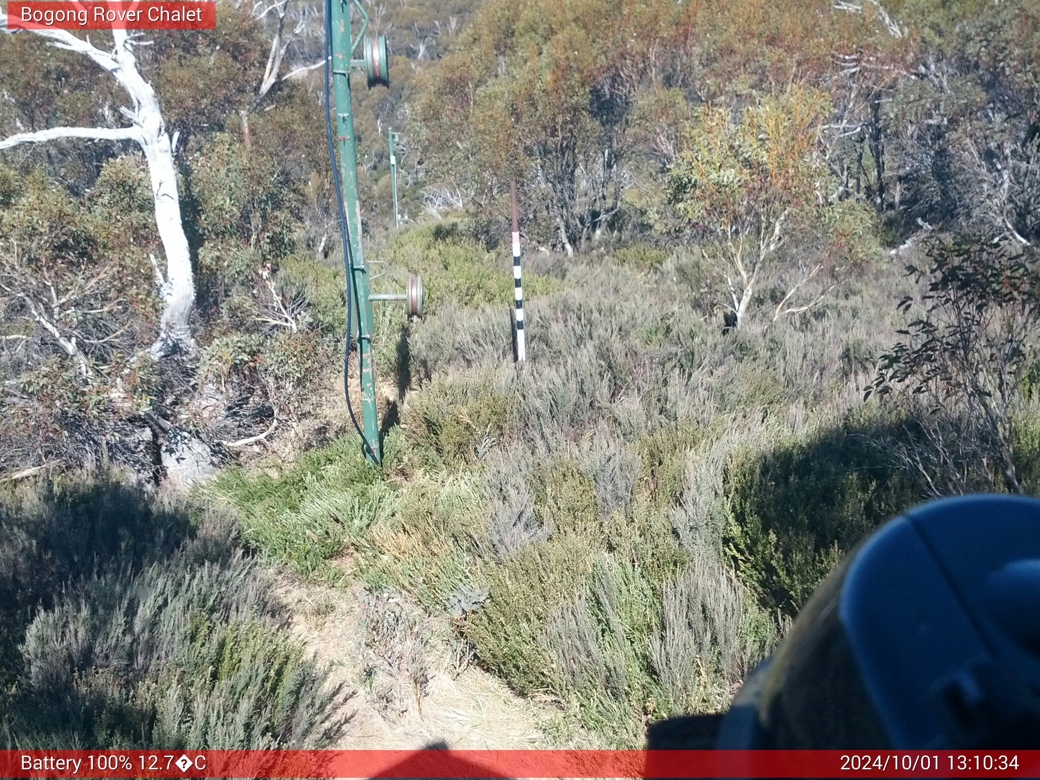 Bogong Web Cam 1:10pm Tuesday 1st of October 2024