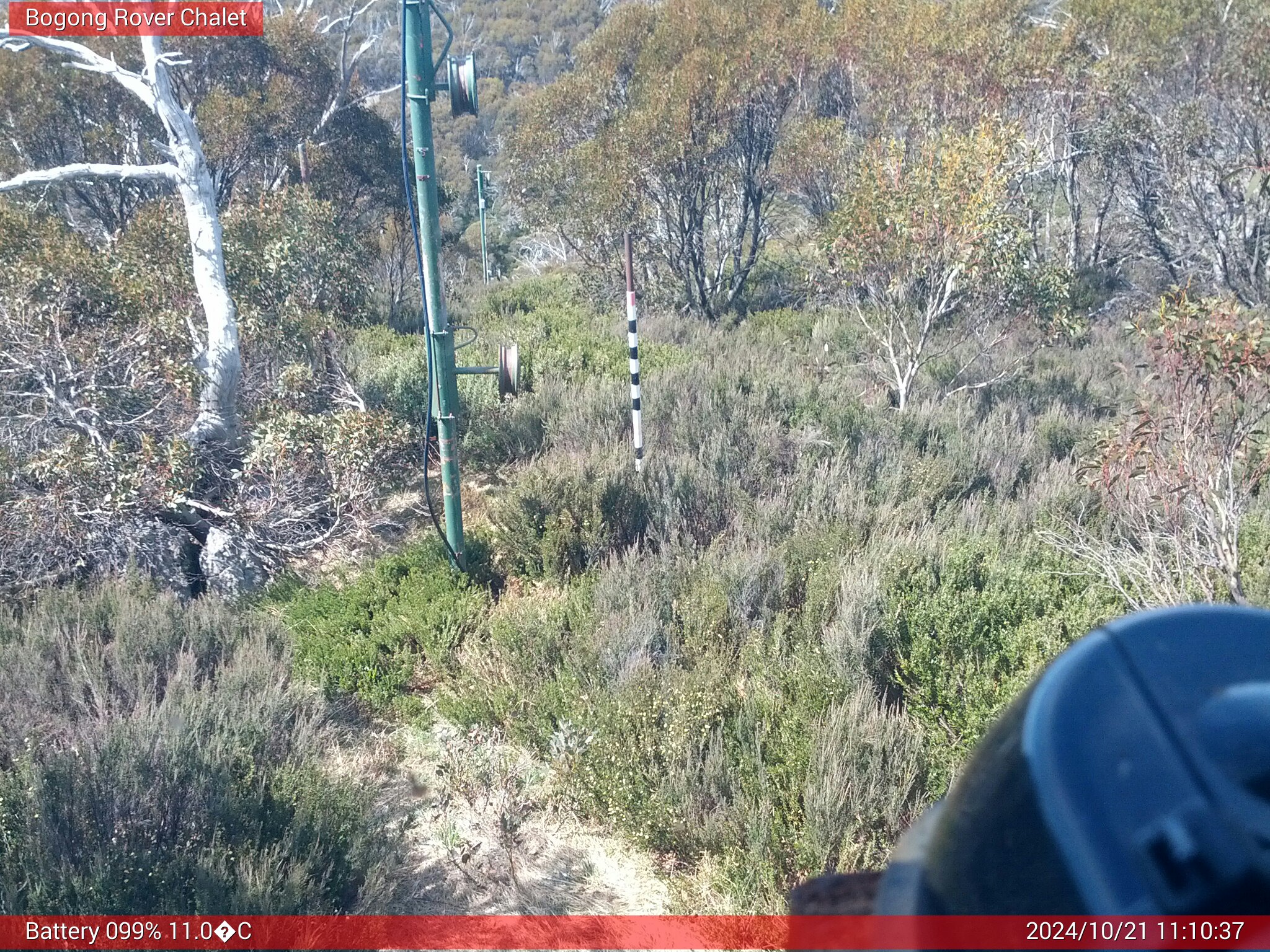 Bogong Web Cam 11:10am Monday 21st of October 2024