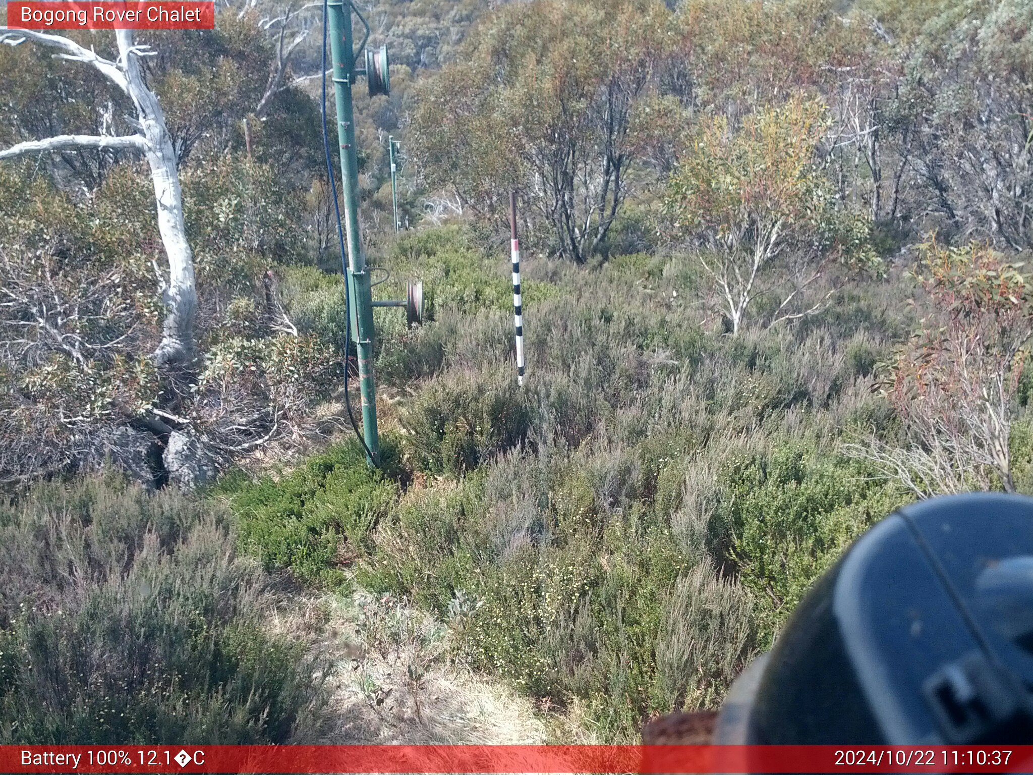 Bogong Web Cam 11:10am Tuesday 22nd of October 2024