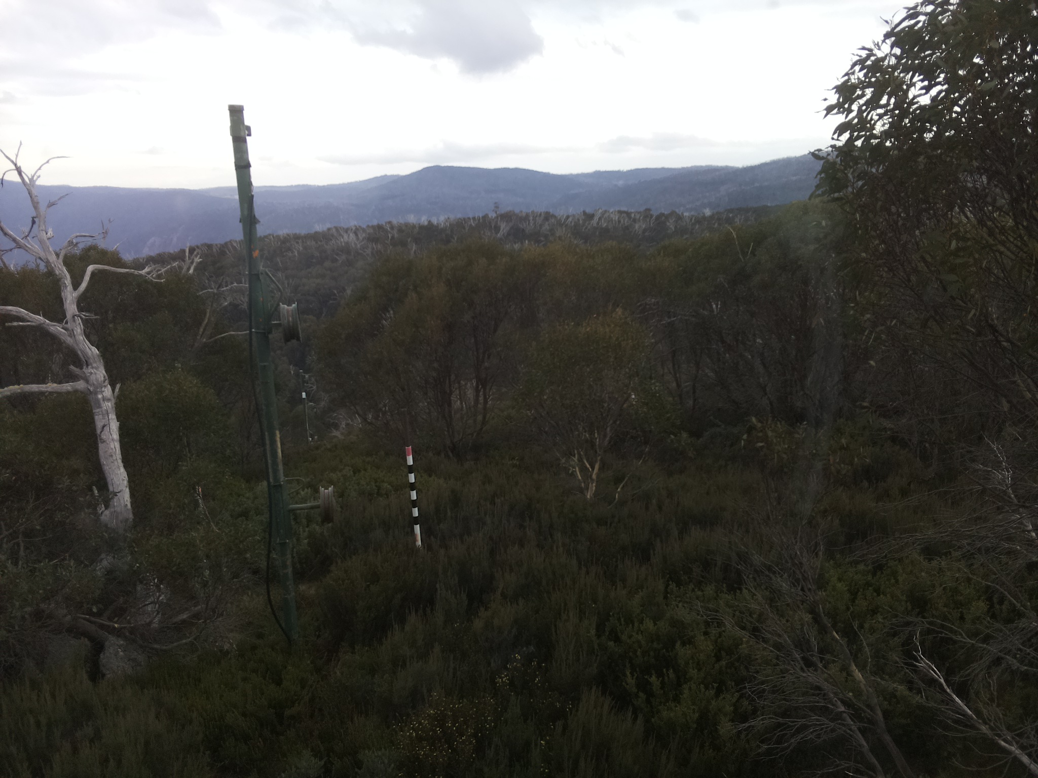 Bogong Web Cam 2:30pm Monday 14th of April 2025