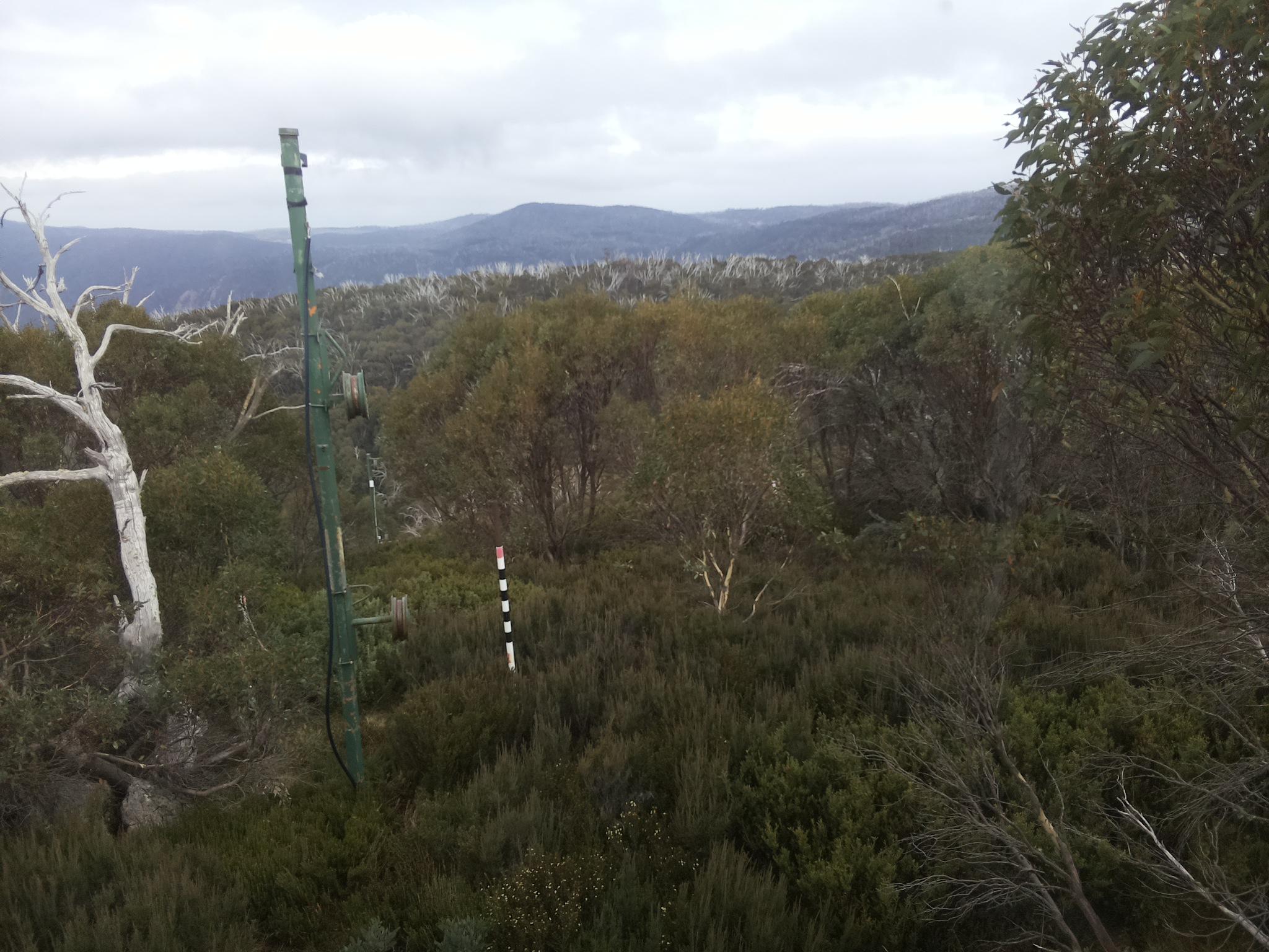 Bogong Web Cam 3:30pm Monday 14th of April 2025