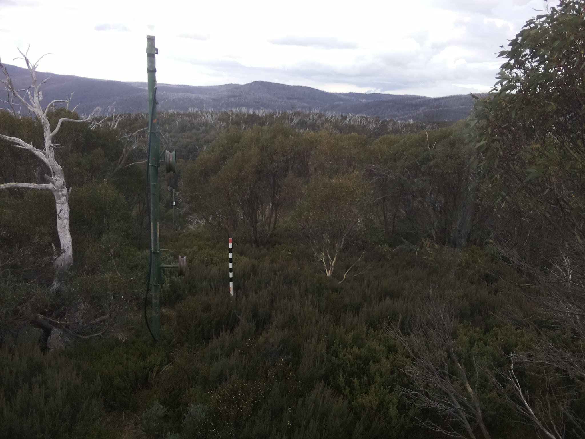 Bogong Web Cam 3:00pm Saturday 26th of April 2025