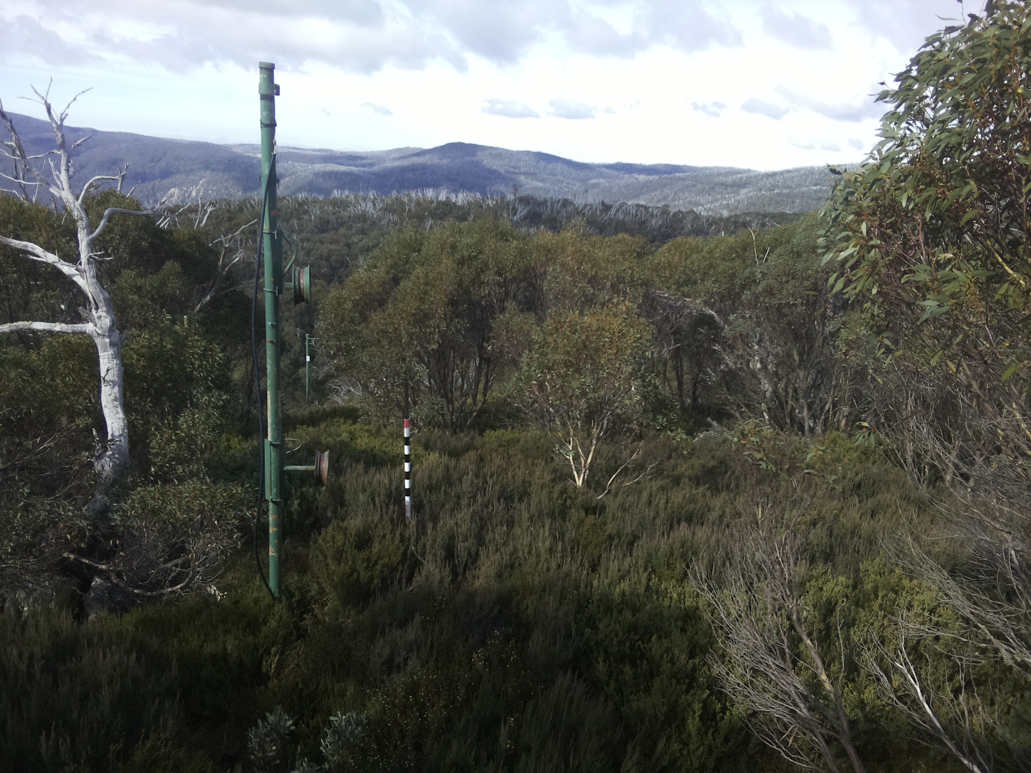 Bogong Web Cam 11:00am Monday 28th of April 2025