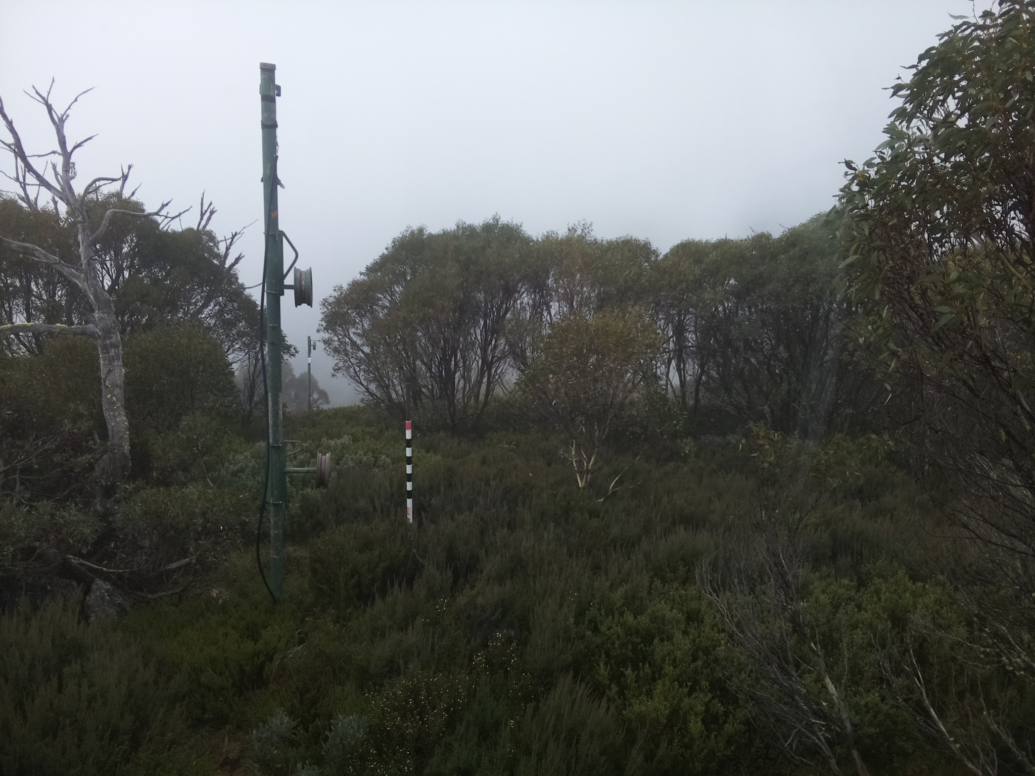 Bogong Web Cam 11:20am Tuesday 29th of April 2025
