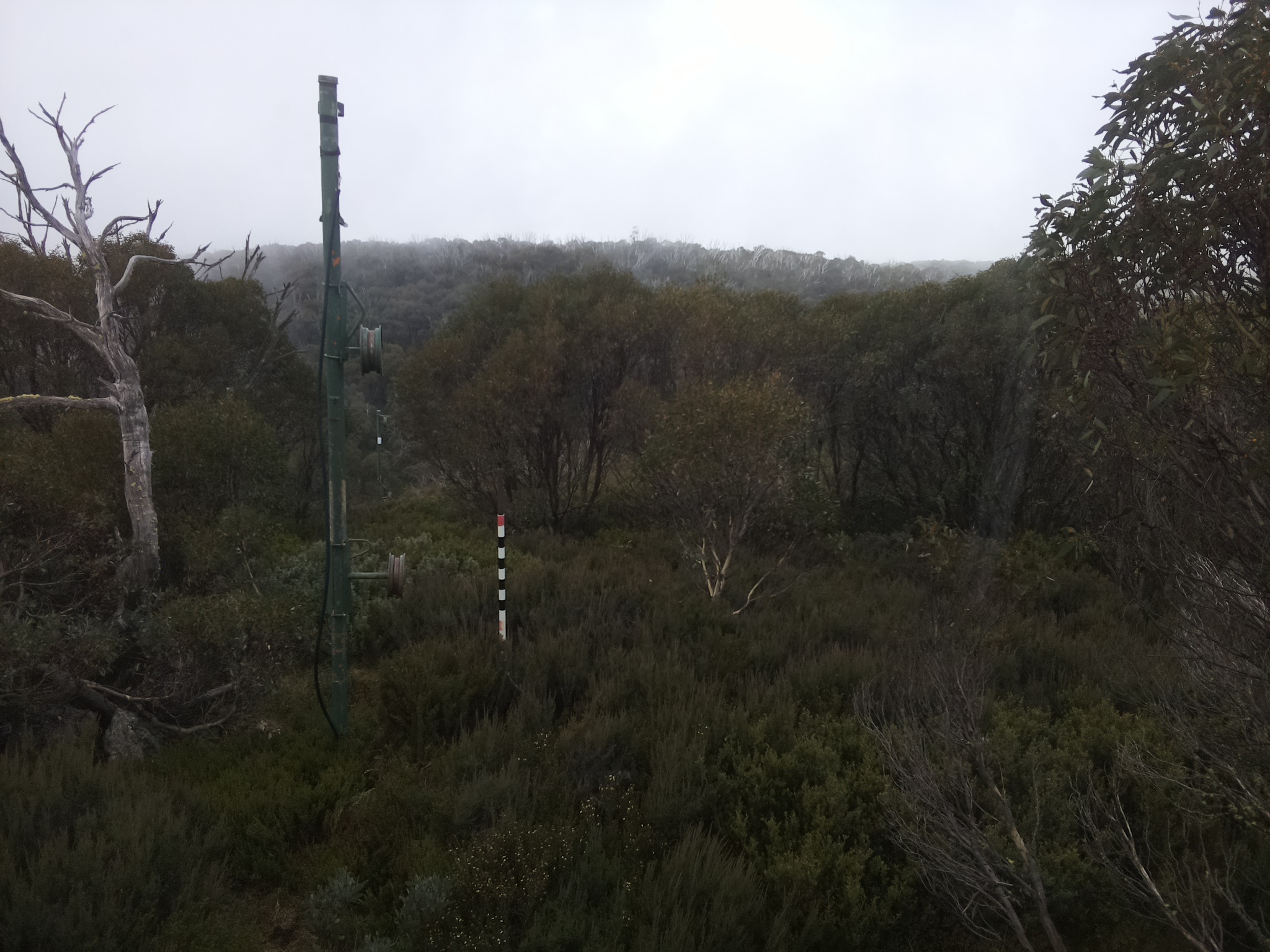 Bogong Web Cam 12:40pm Tuesday 29th of April 2025