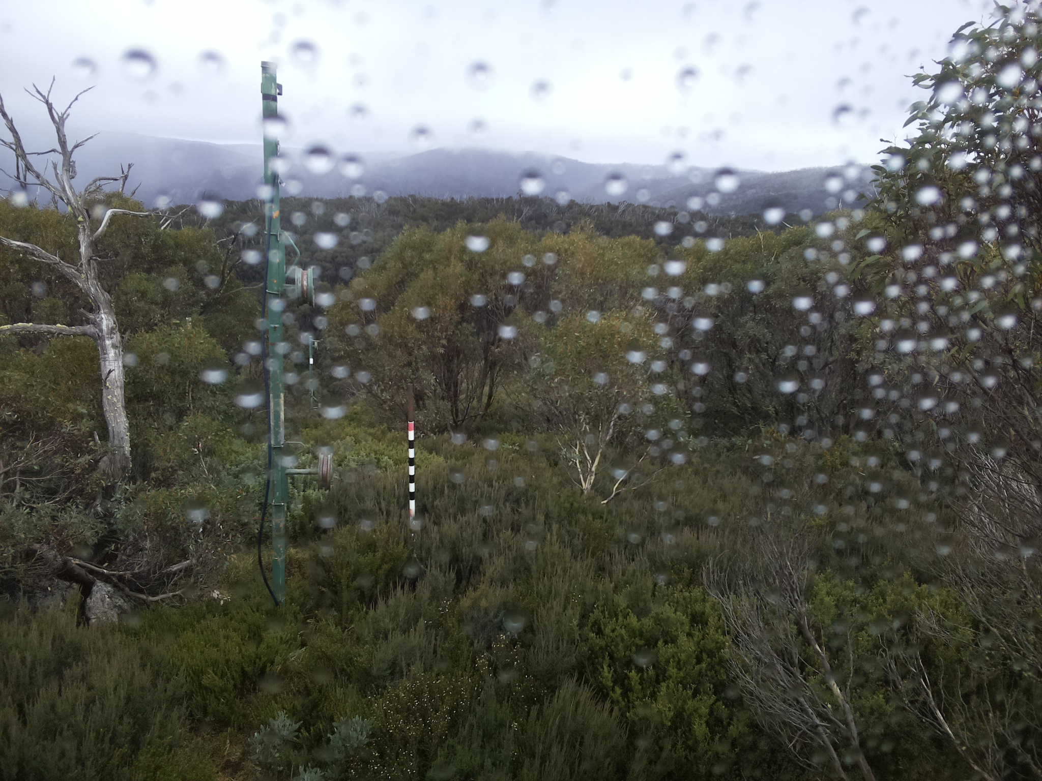 Bogong Web Cam 12:40pm Wednesday 30th of April 2025
