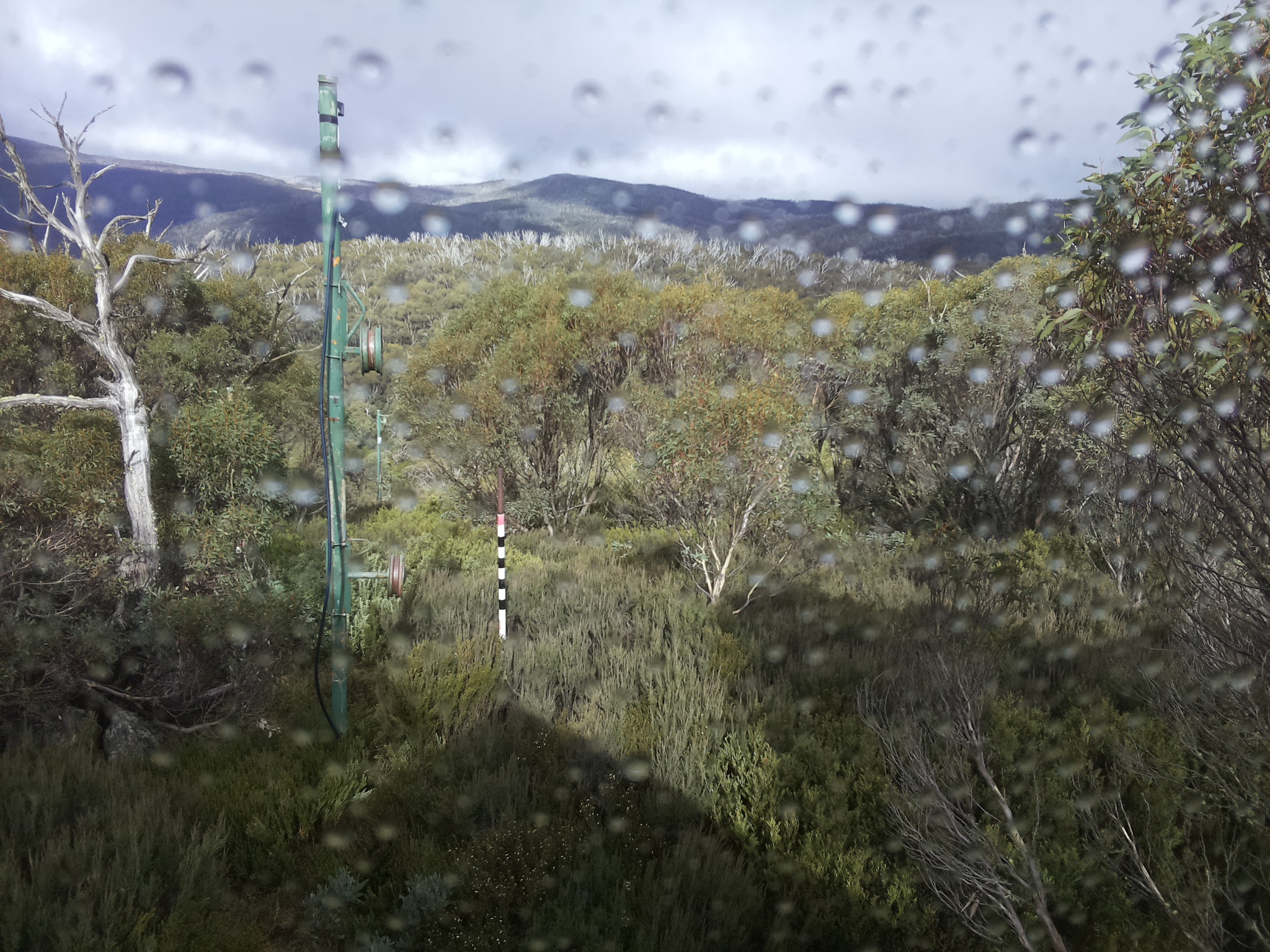 Bogong Web Cam 1:30pm Wednesday 30th of April 2025