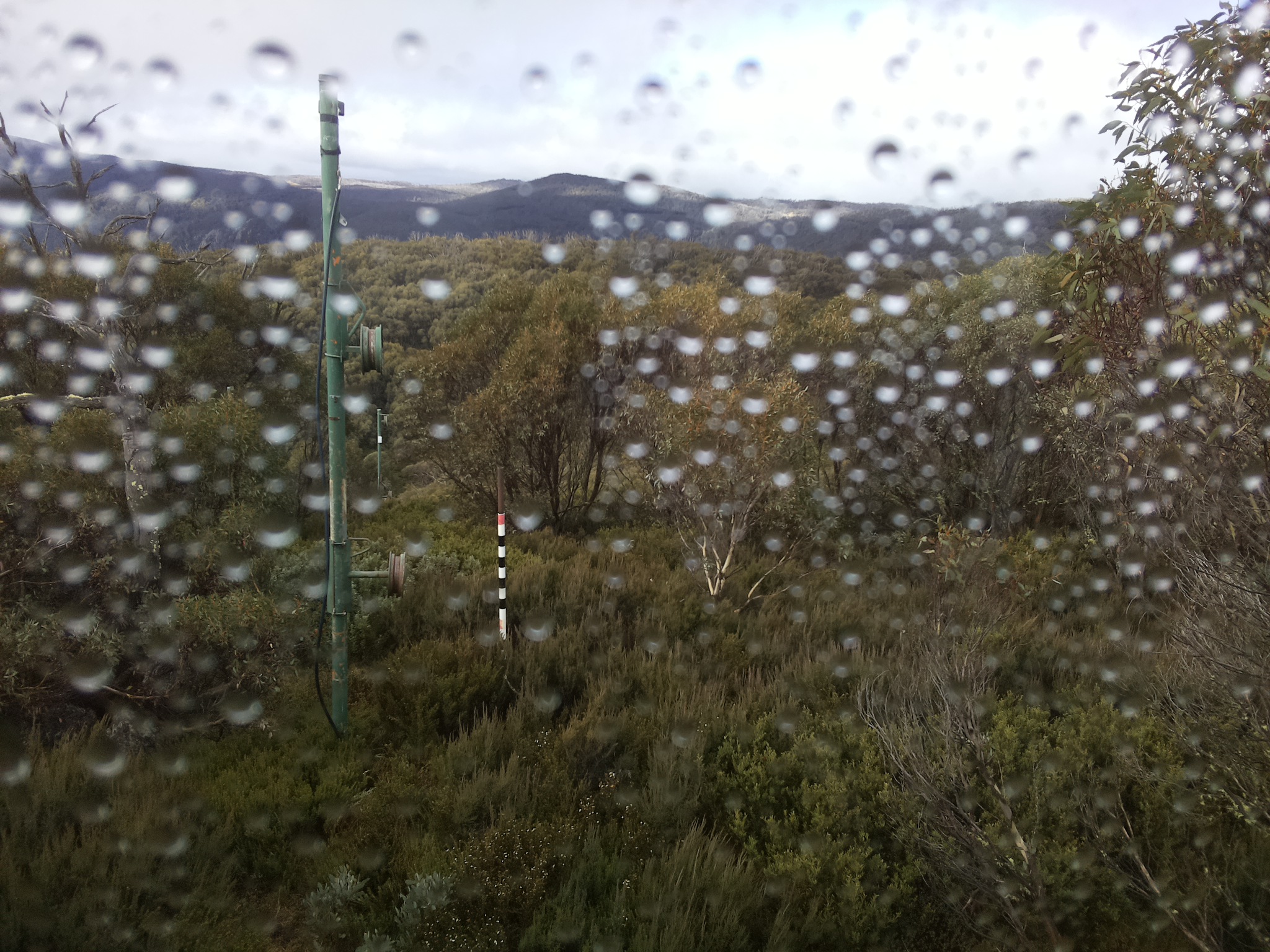 Bogong Web Cam 10:00am Thursday 1st of May 2025