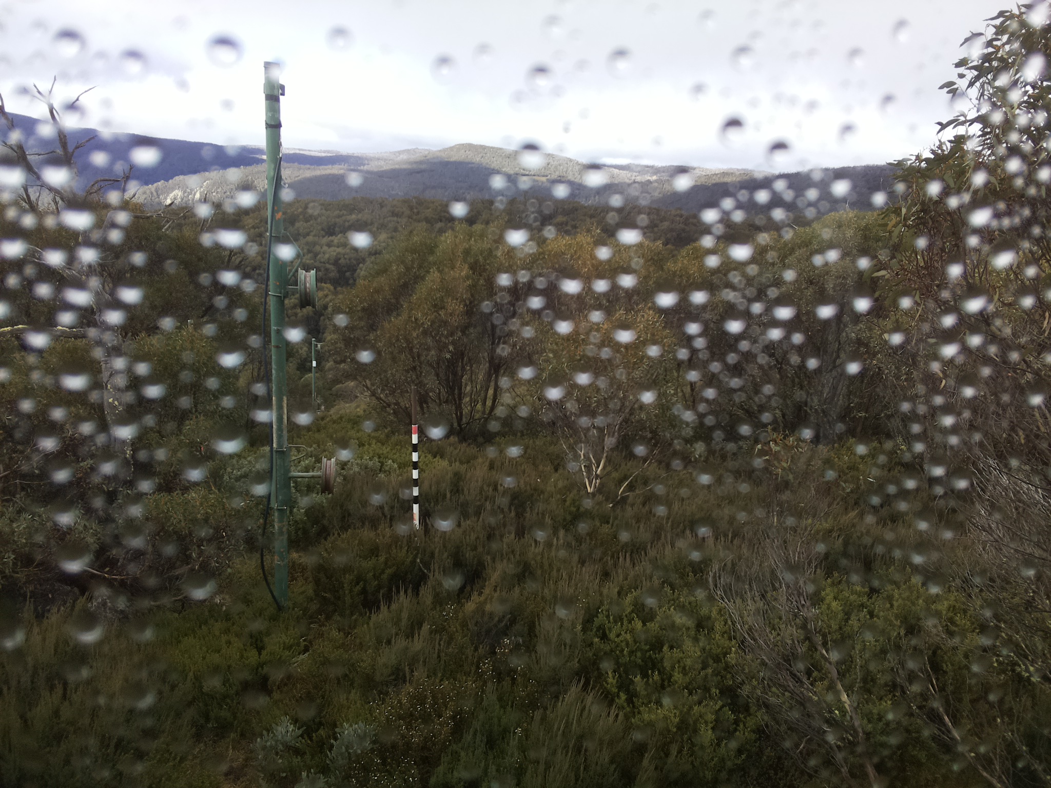 Bogong Web Cam 10:10am Thursday 1st of May 2025