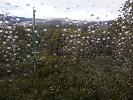 Thumbnail 10:10am Thursday 1st of May 2025