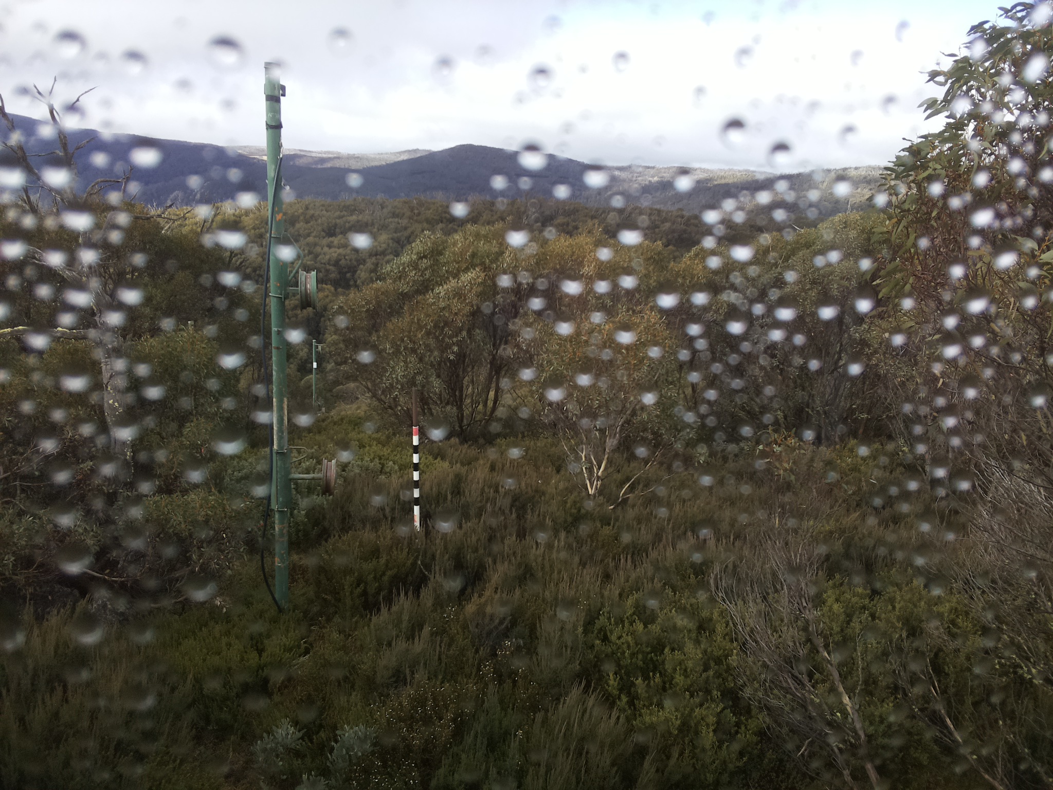 Bogong Web Cam 10:20am Thursday 1st of May 2025