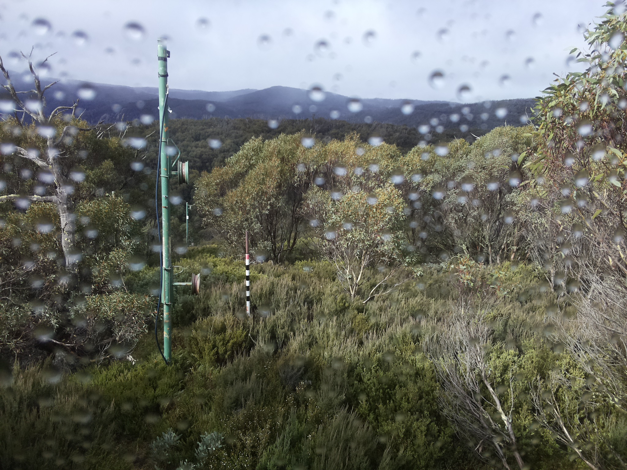 Bogong Web Cam 10:40am Thursday 1st of May 2025