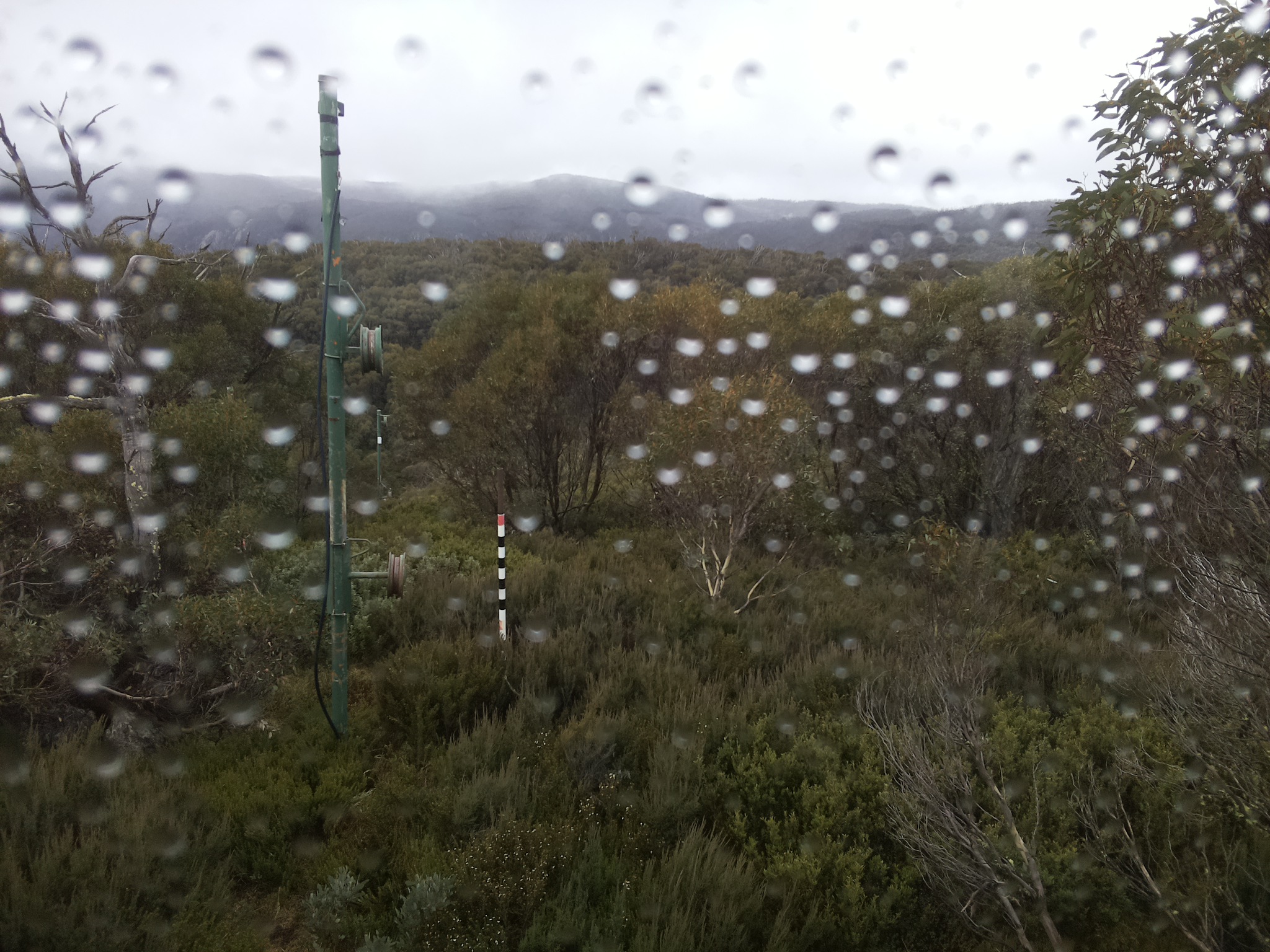 Bogong Web Cam 10:50am Thursday 1st of May 2025