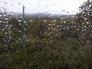 Thumbnail 10:50am Thursday 1st of May 2025