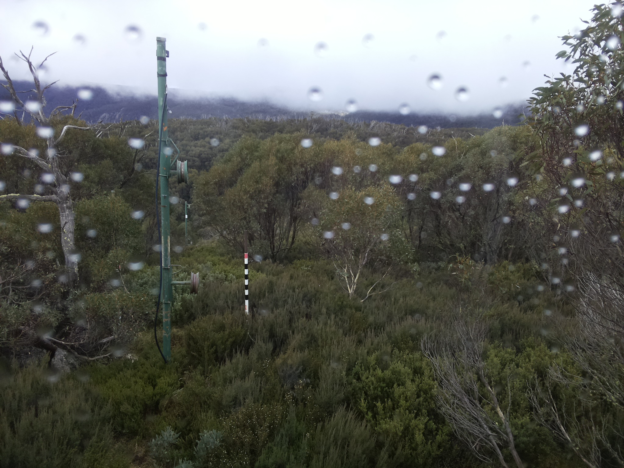 Bogong Web Cam 12:10pm Thursday 1st of May 2025