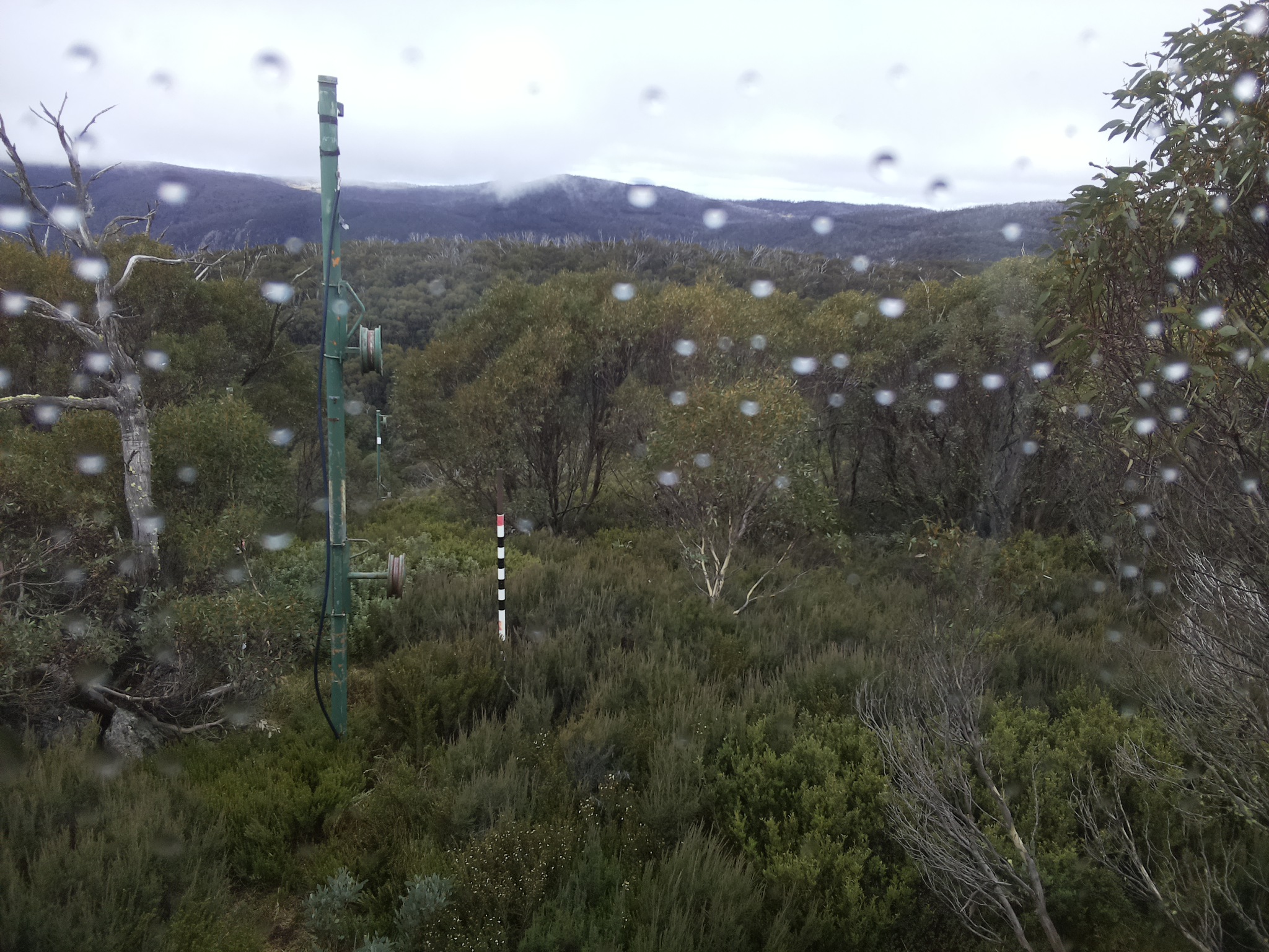 Bogong Web Cam 12:20pm Thursday 1st of May 2025