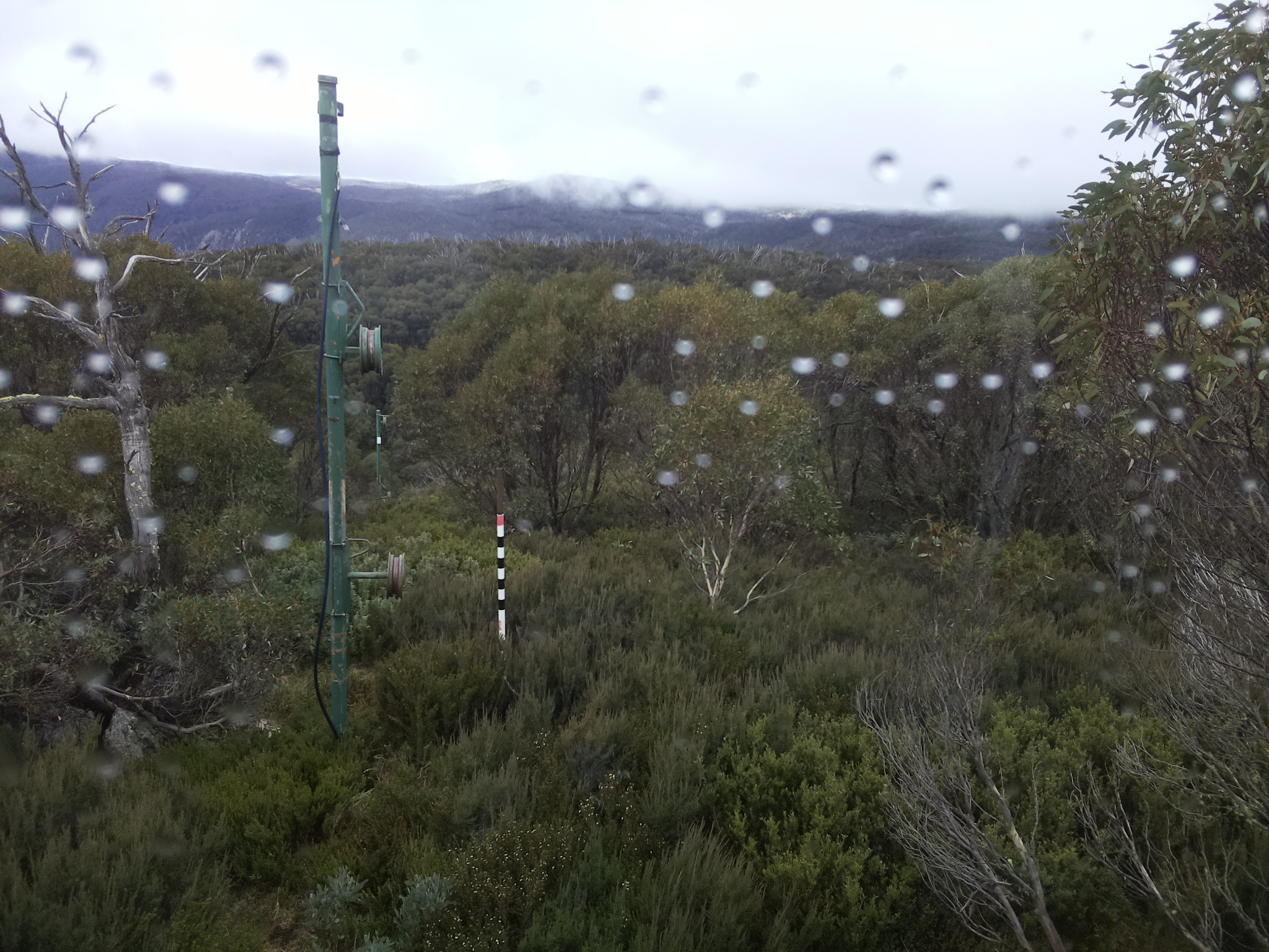 Bogong Web Cam 12:30pm Thursday 1st of May 2025